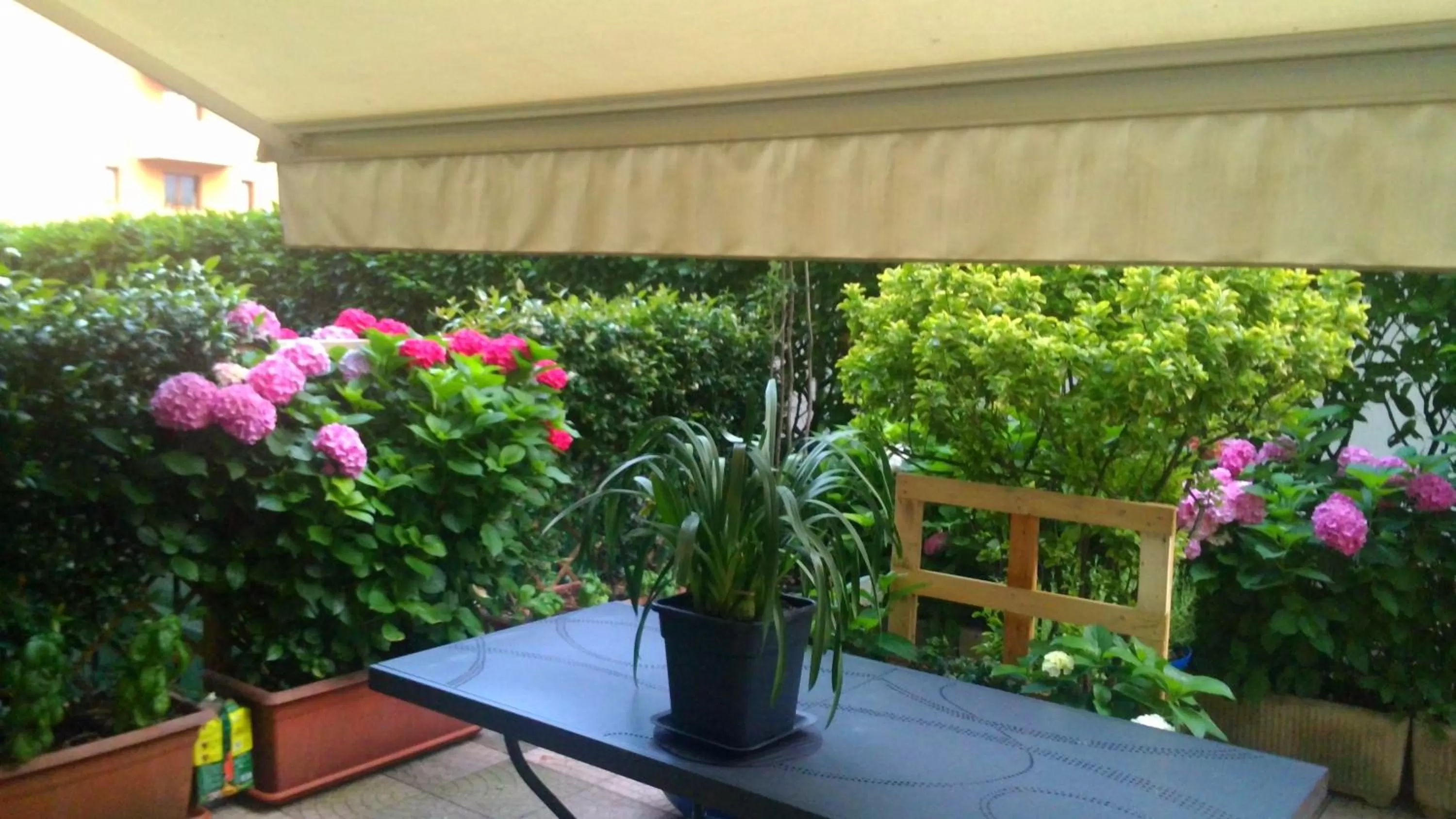 Patio in Smart House Rental Rooms FREE PARKING