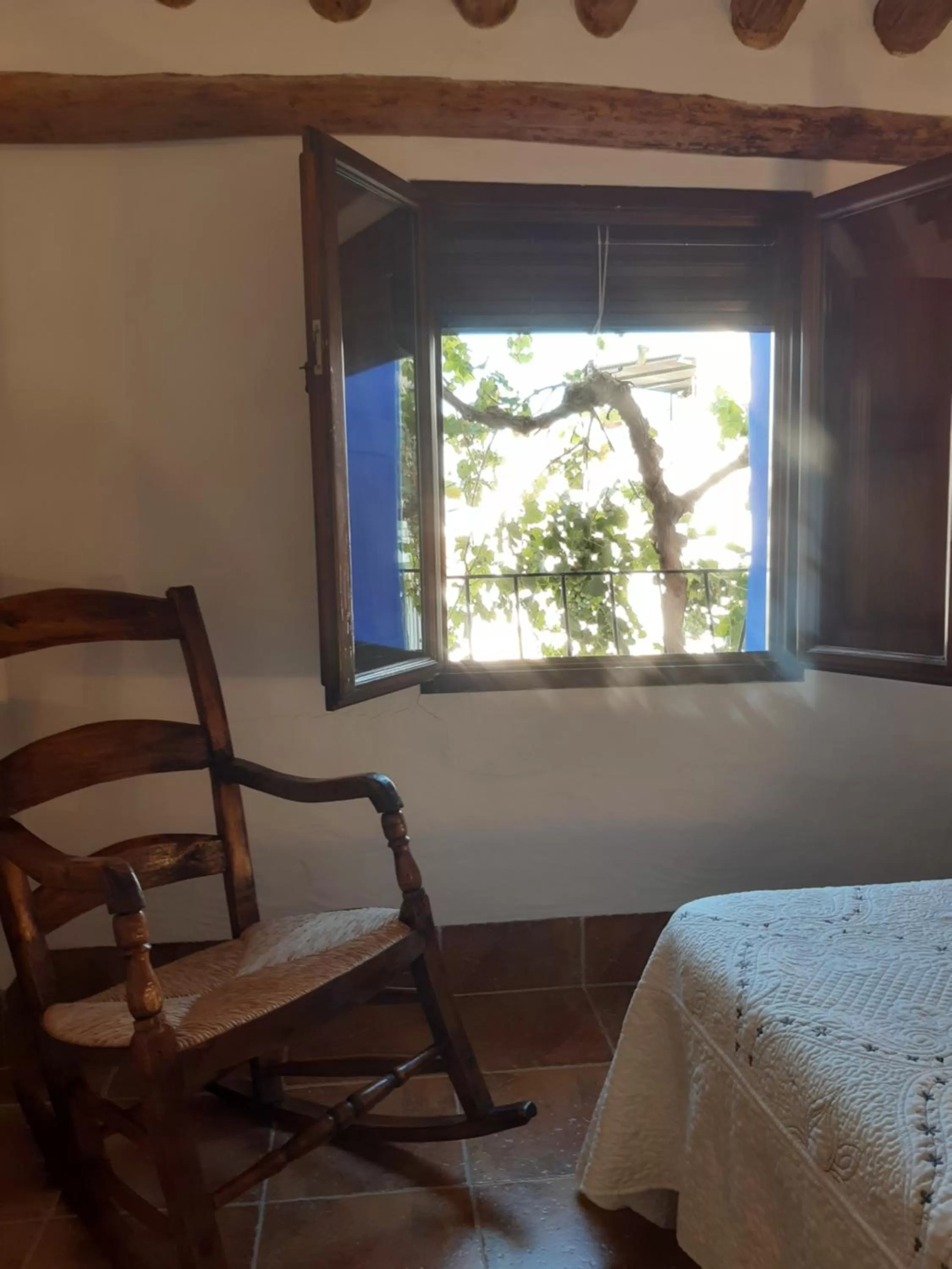 View (from property/room) in La Posada Amena