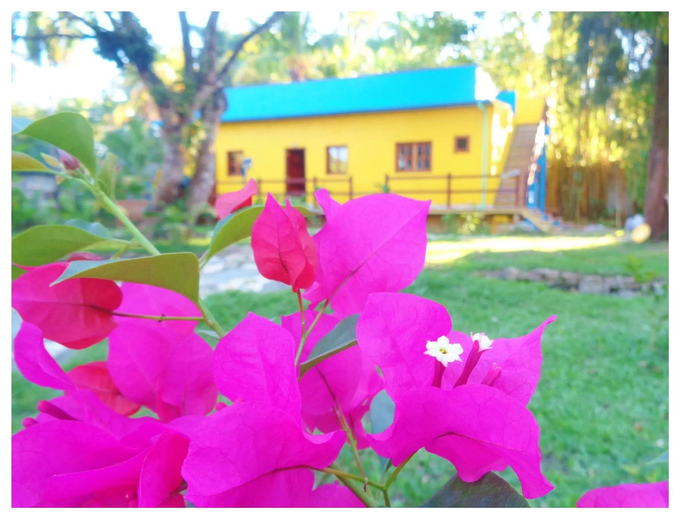 Garden in Livingston Resort Hotel