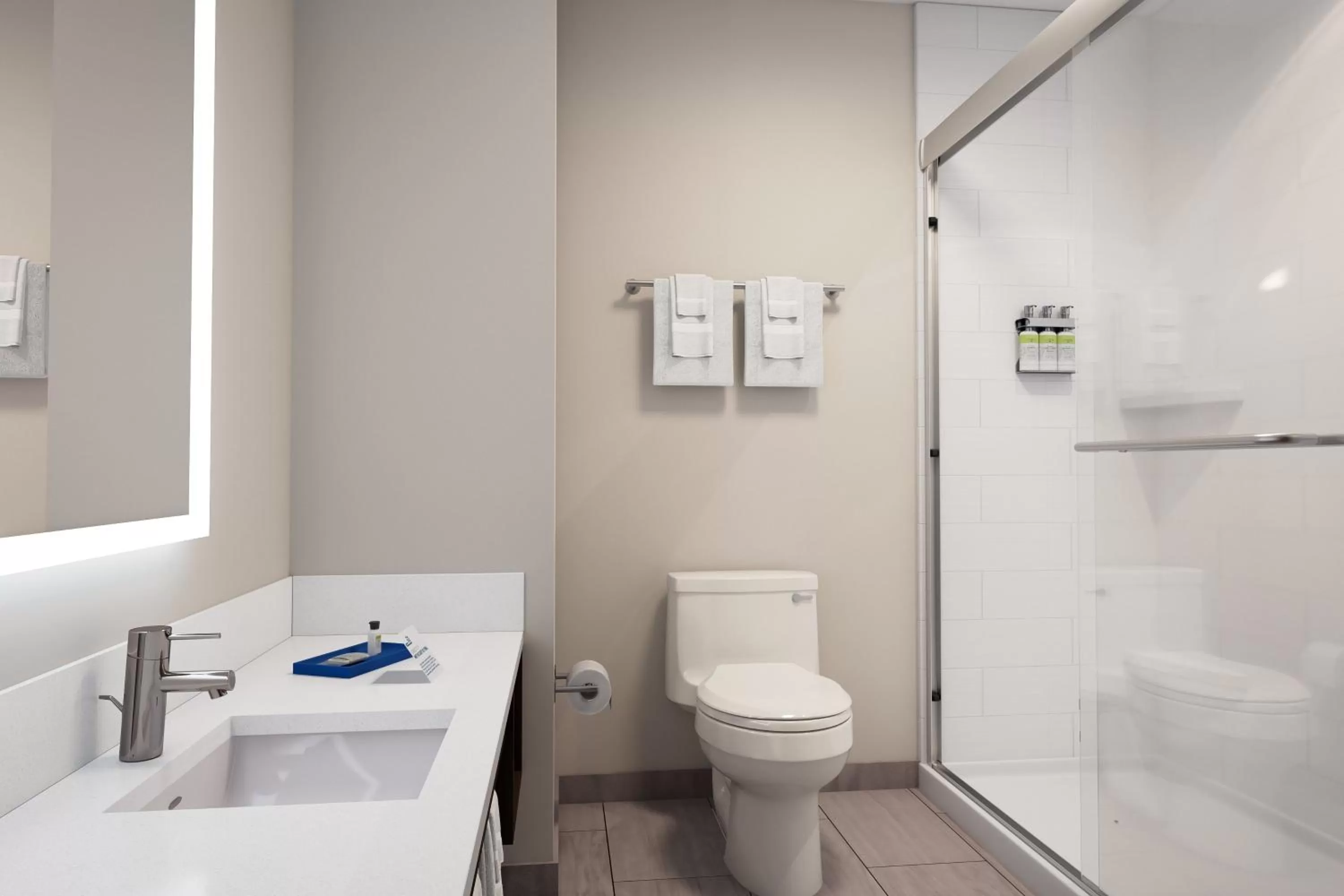 Bathroom in Holiday Inn Express & Suites - Meridian - Boise West by IHG