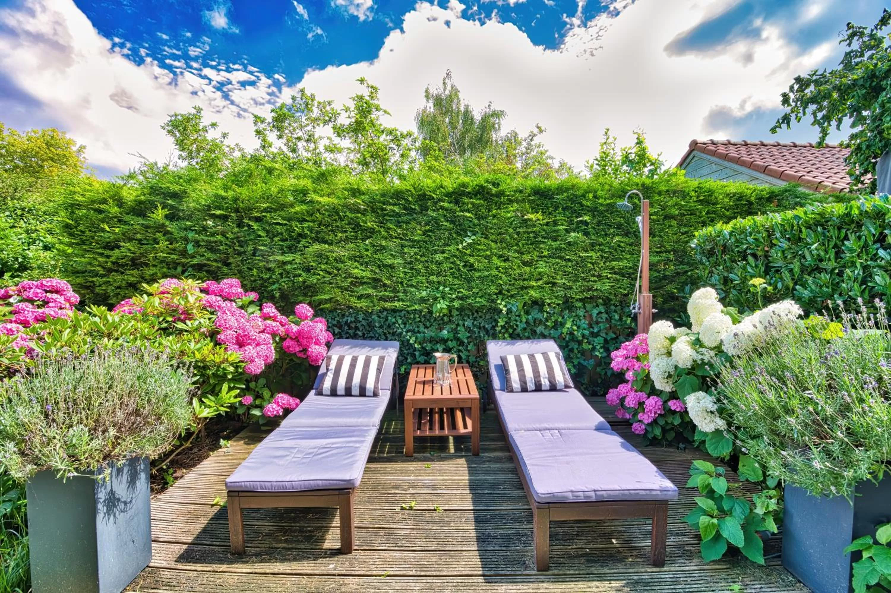 Garden in B&B Hoofddorp