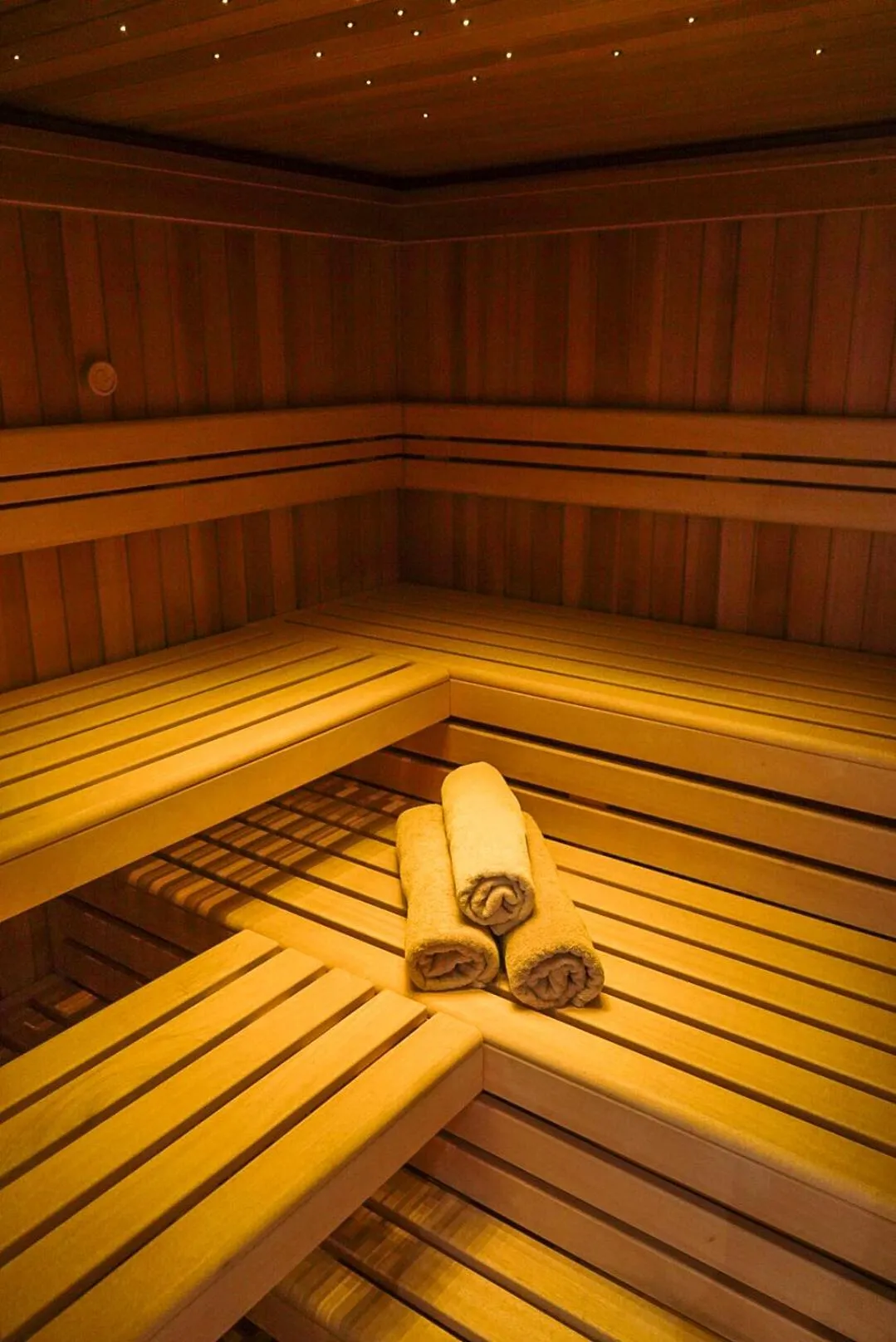 Sauna in Villa Arborea