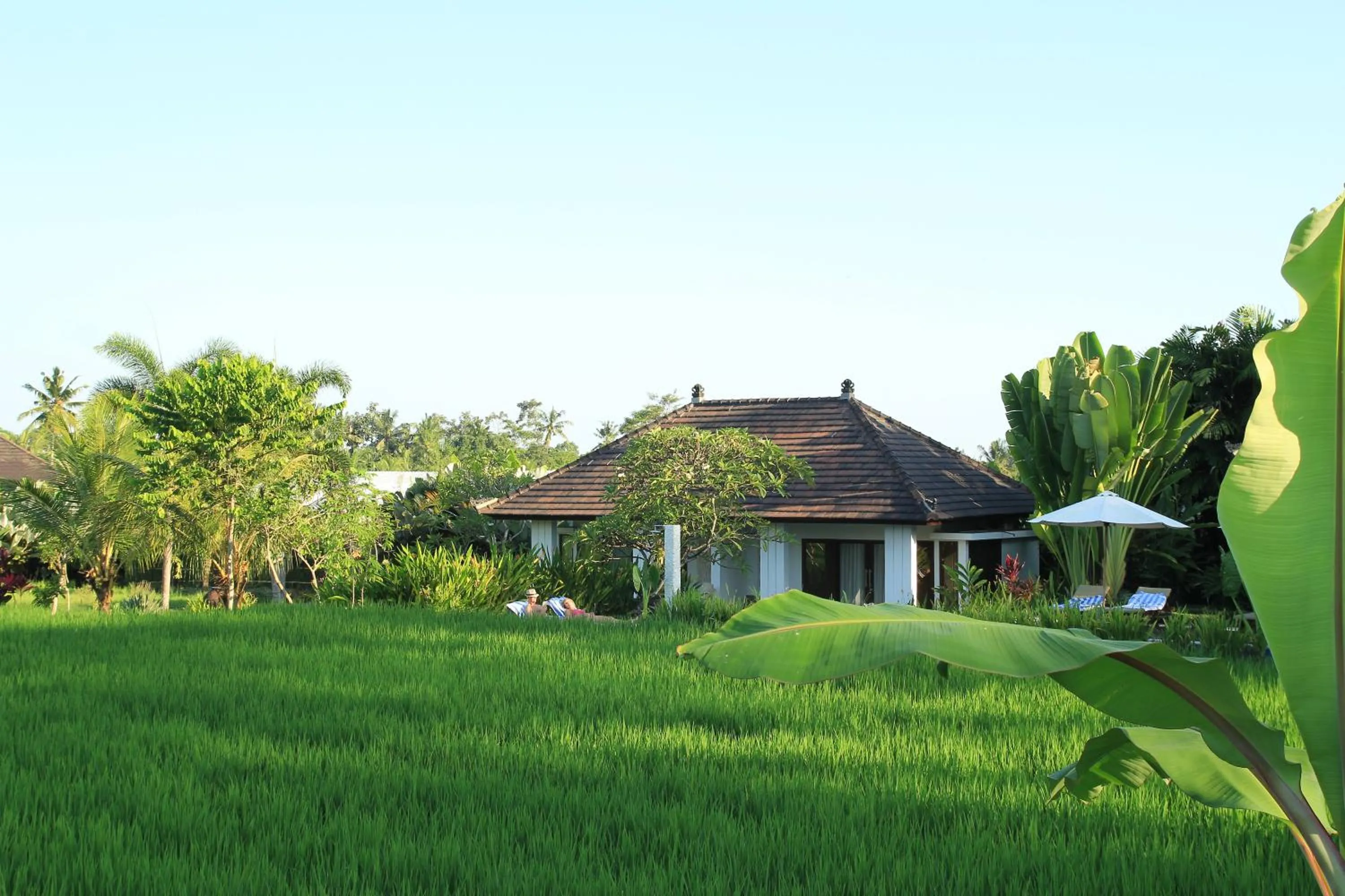 Swimming pool in The Samara Villas & Restaurant