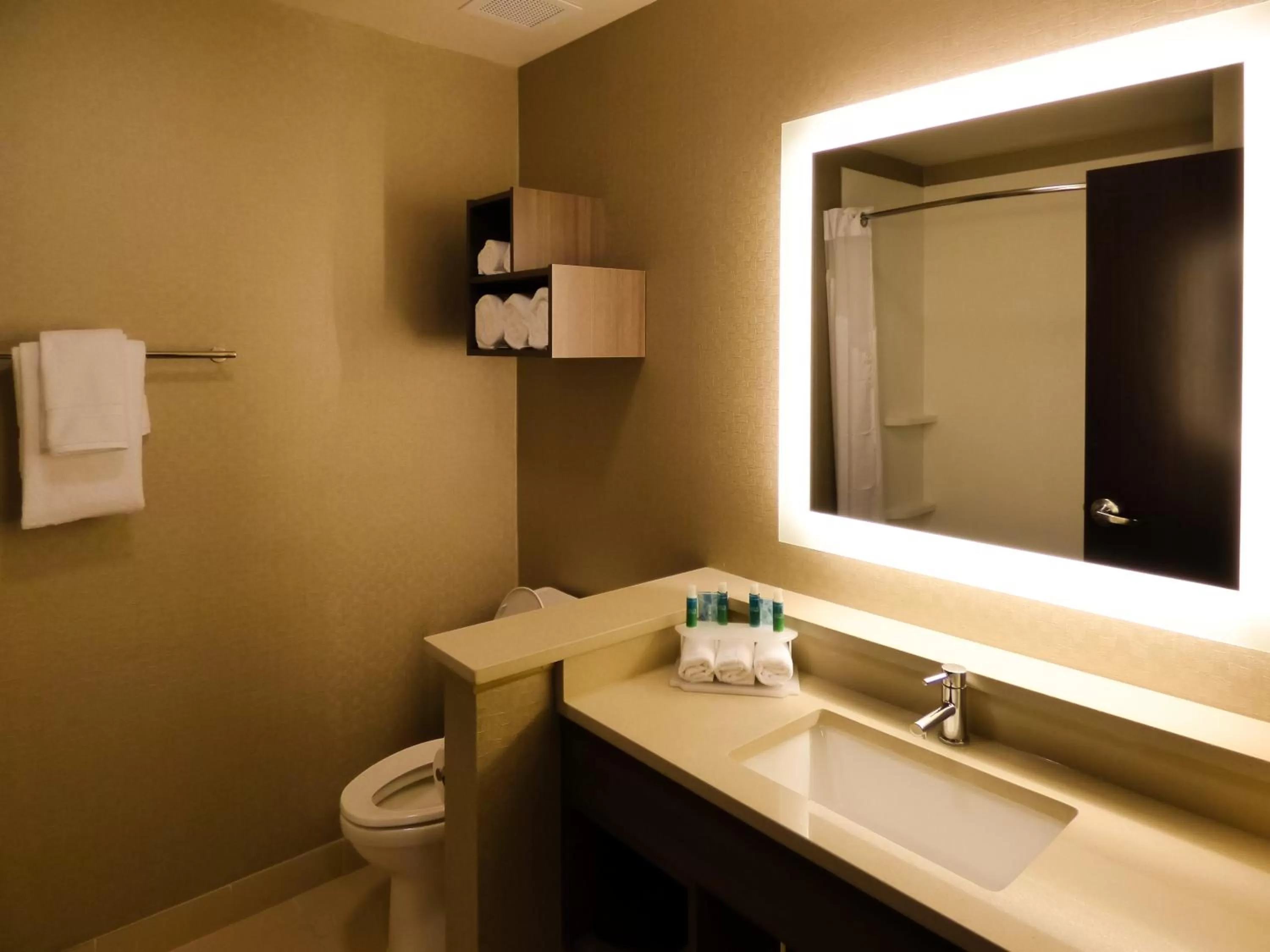 Bathroom in Holiday Inn Express & Suites Plymouth - Ann Arbor Area by IHG