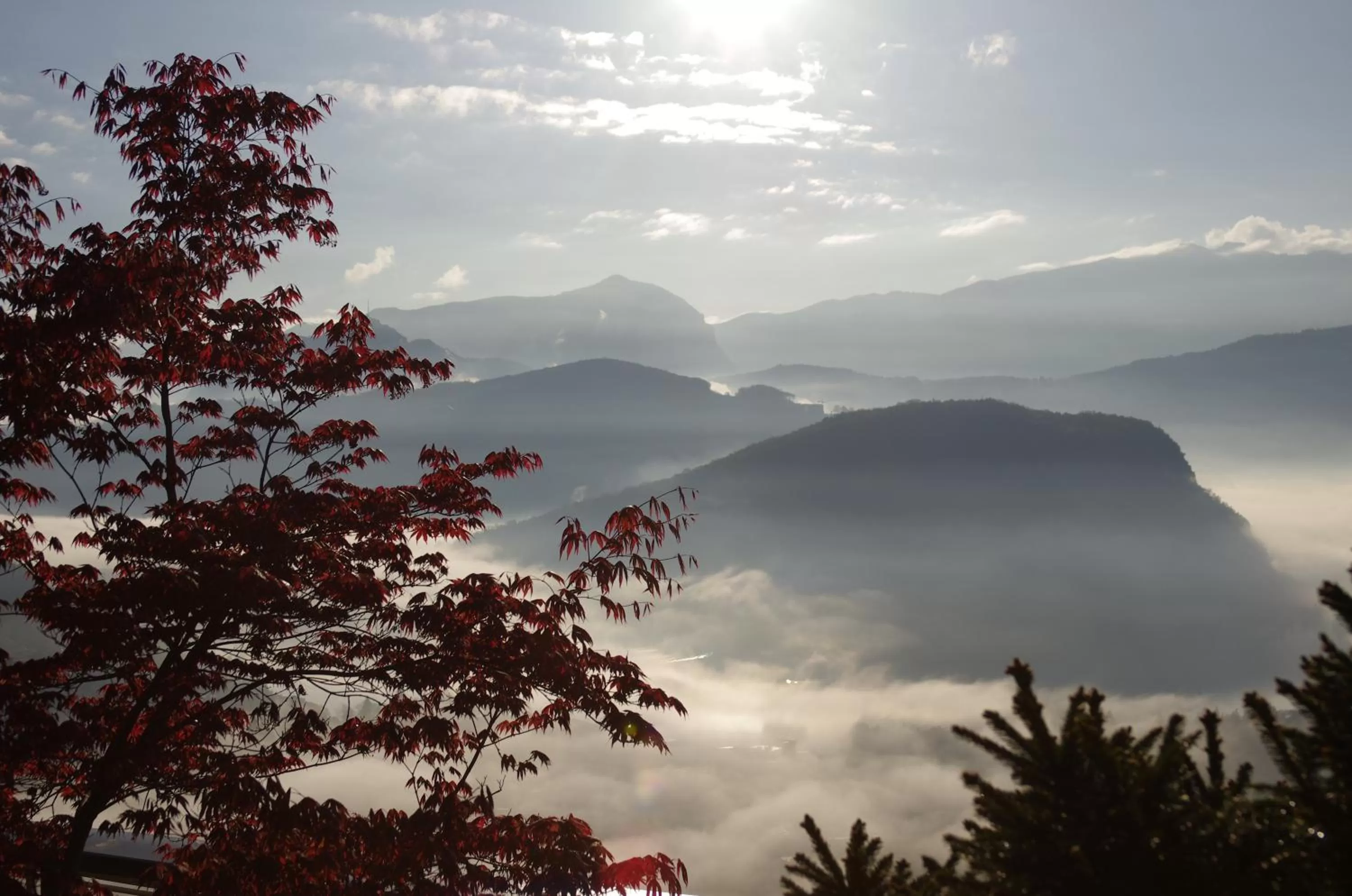 View (from property/room) in Stampa 1968 Hotel e Ristorante