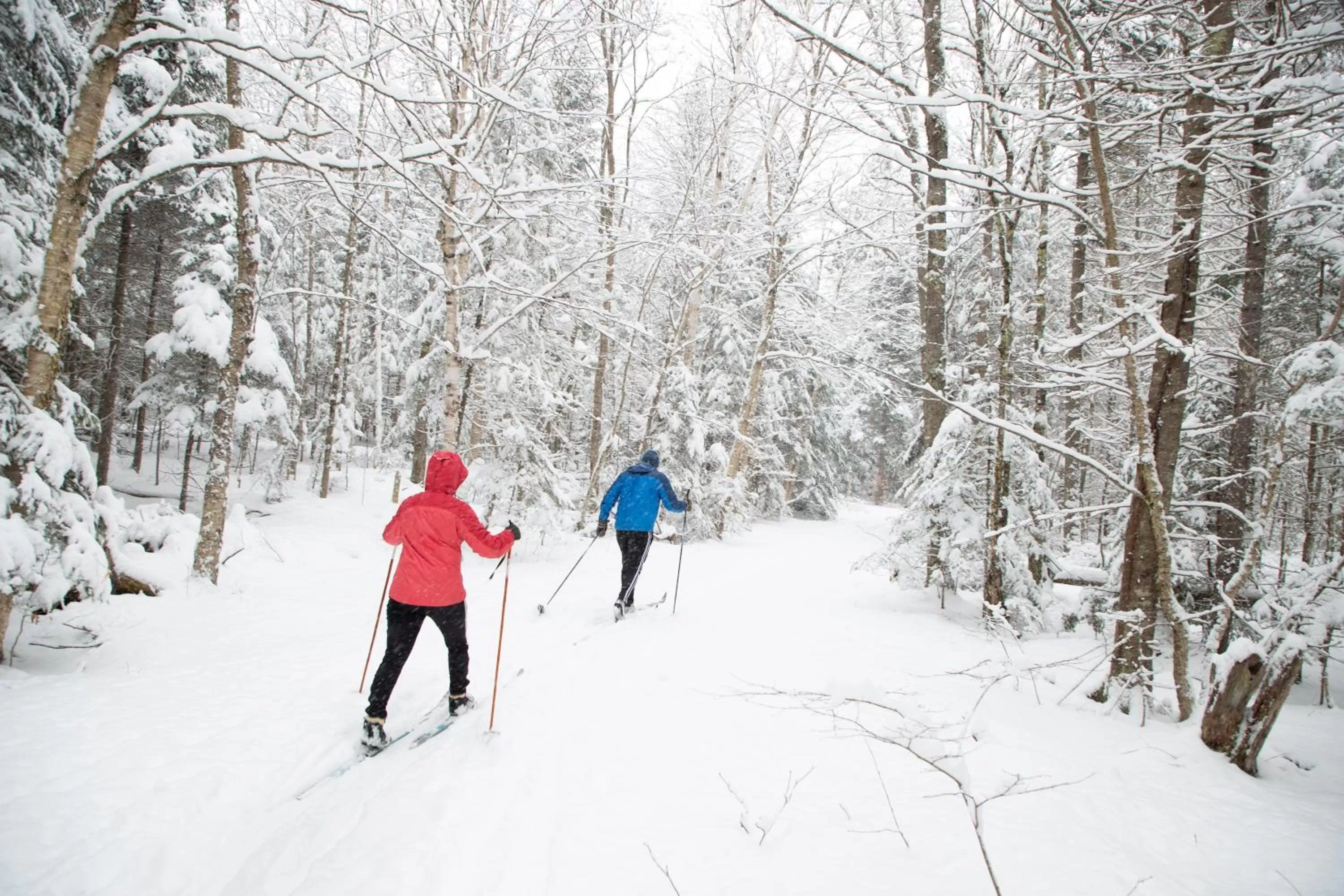 Lake Placid Inn: Main Street
