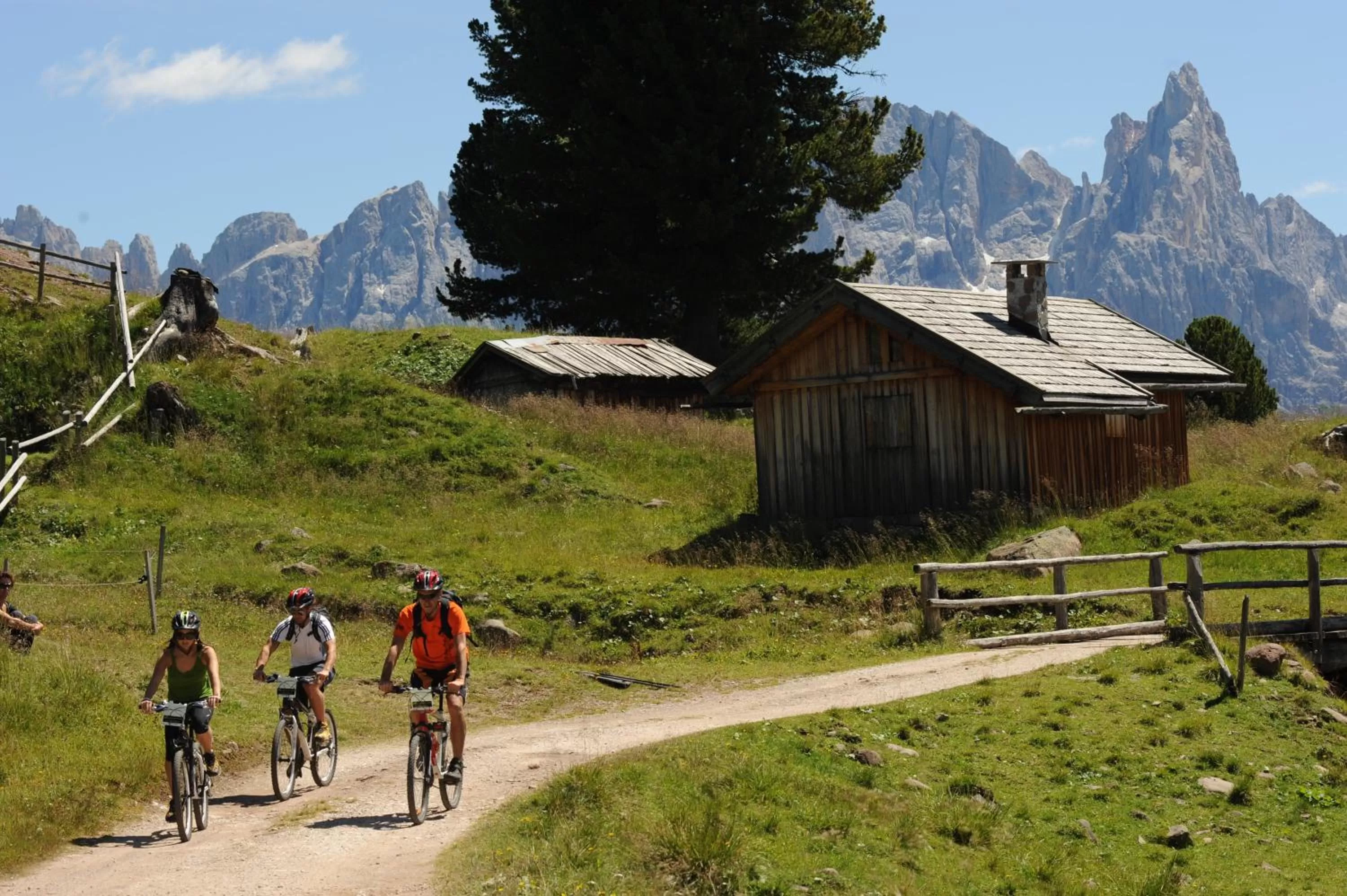 Area and facilities in Historic Hotel Ristorante La Stua