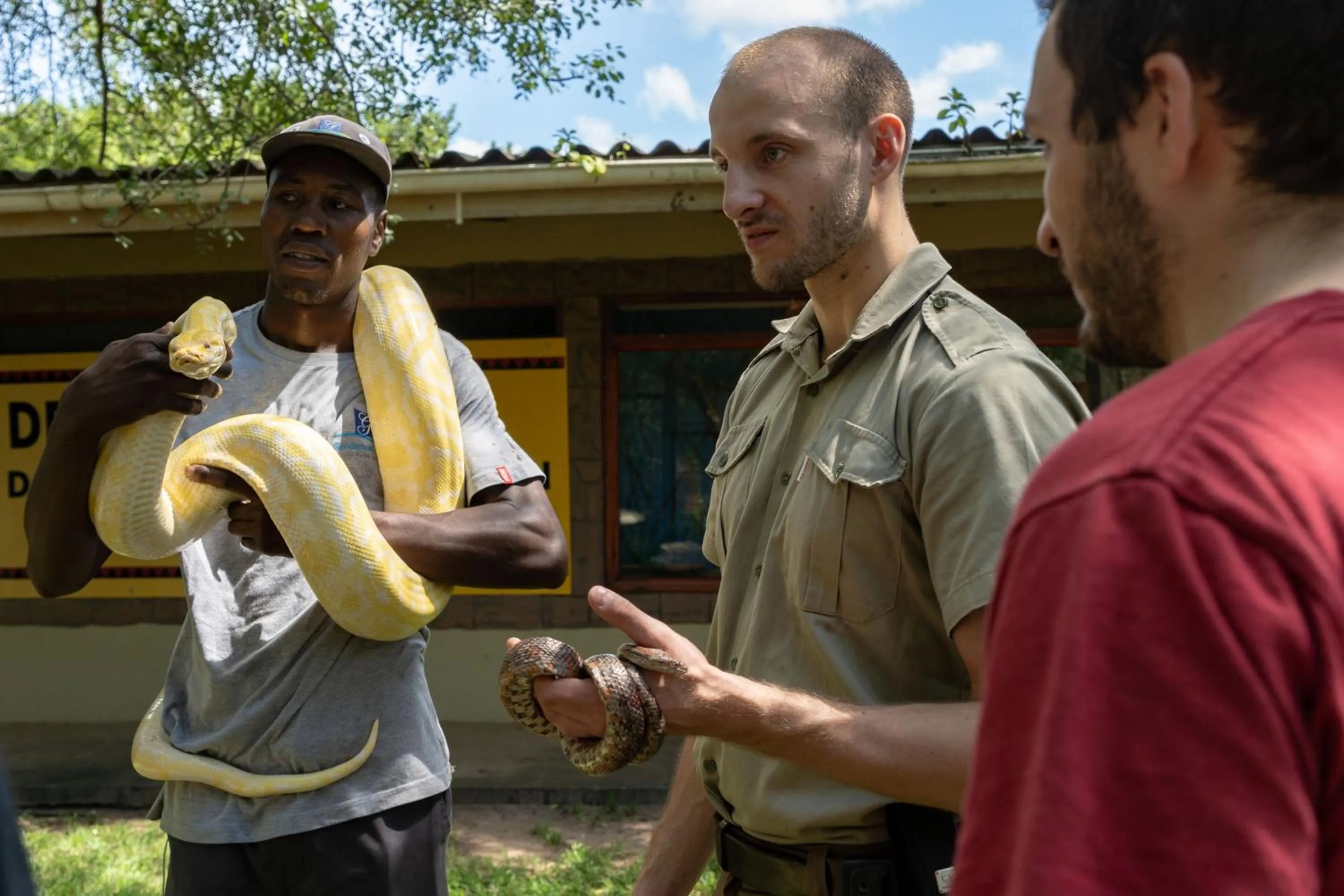 Animals in Gooderson DumaZulu Lodge