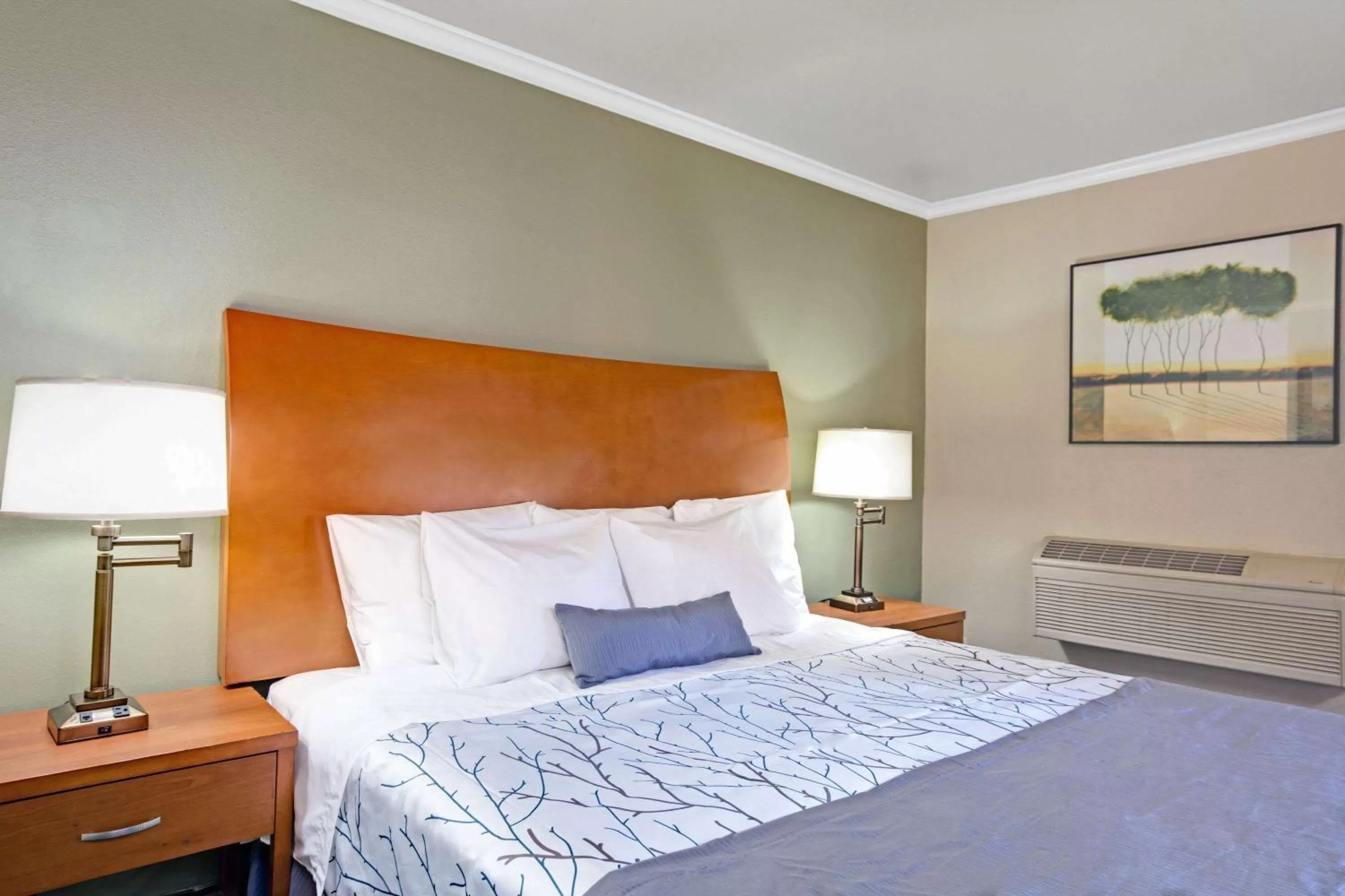 Photo of the whole room, Bed in Days Inn by Wyndham San Jose Convention Center