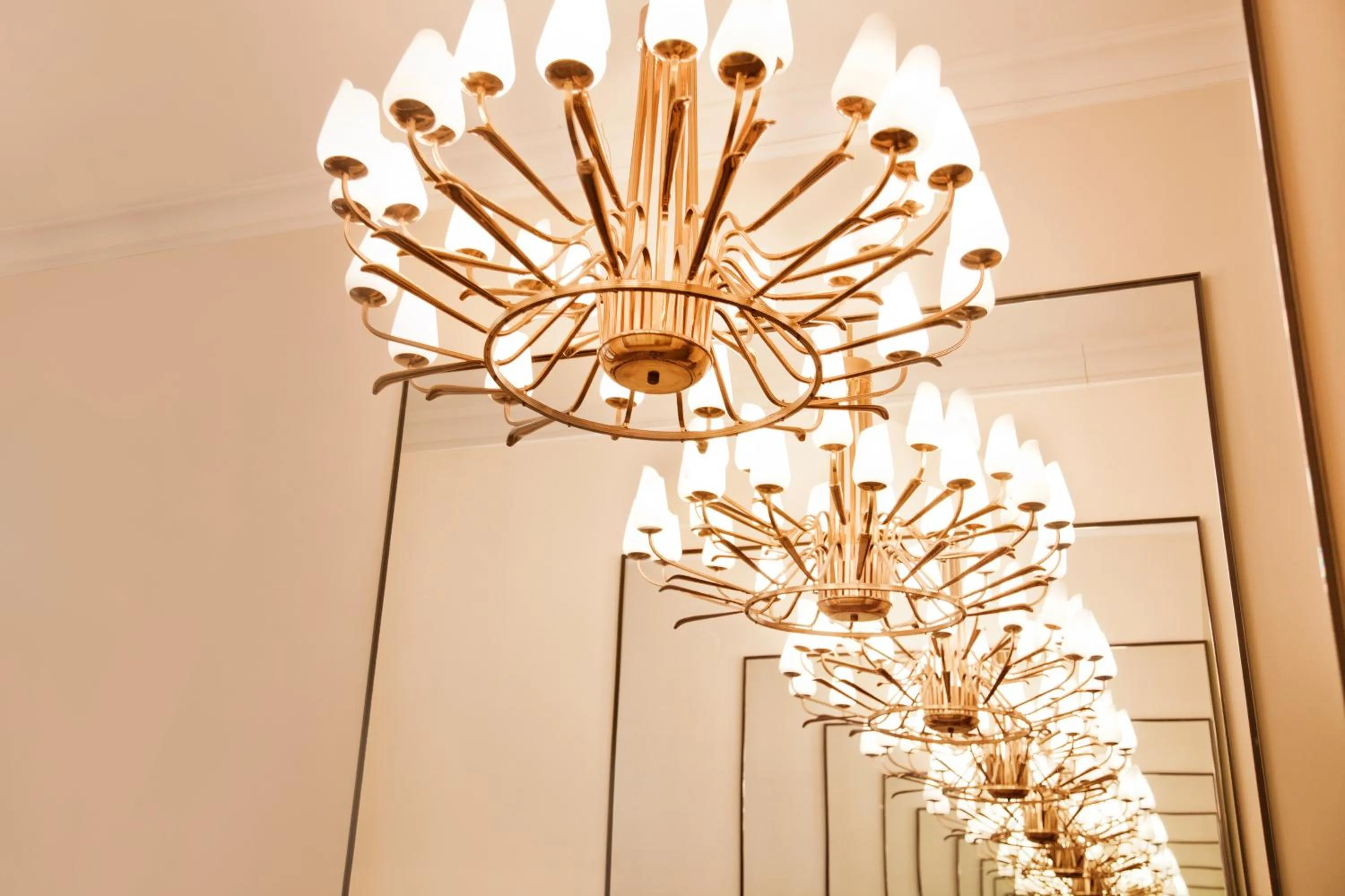 Area and facilities in Hotel Adele am Alex