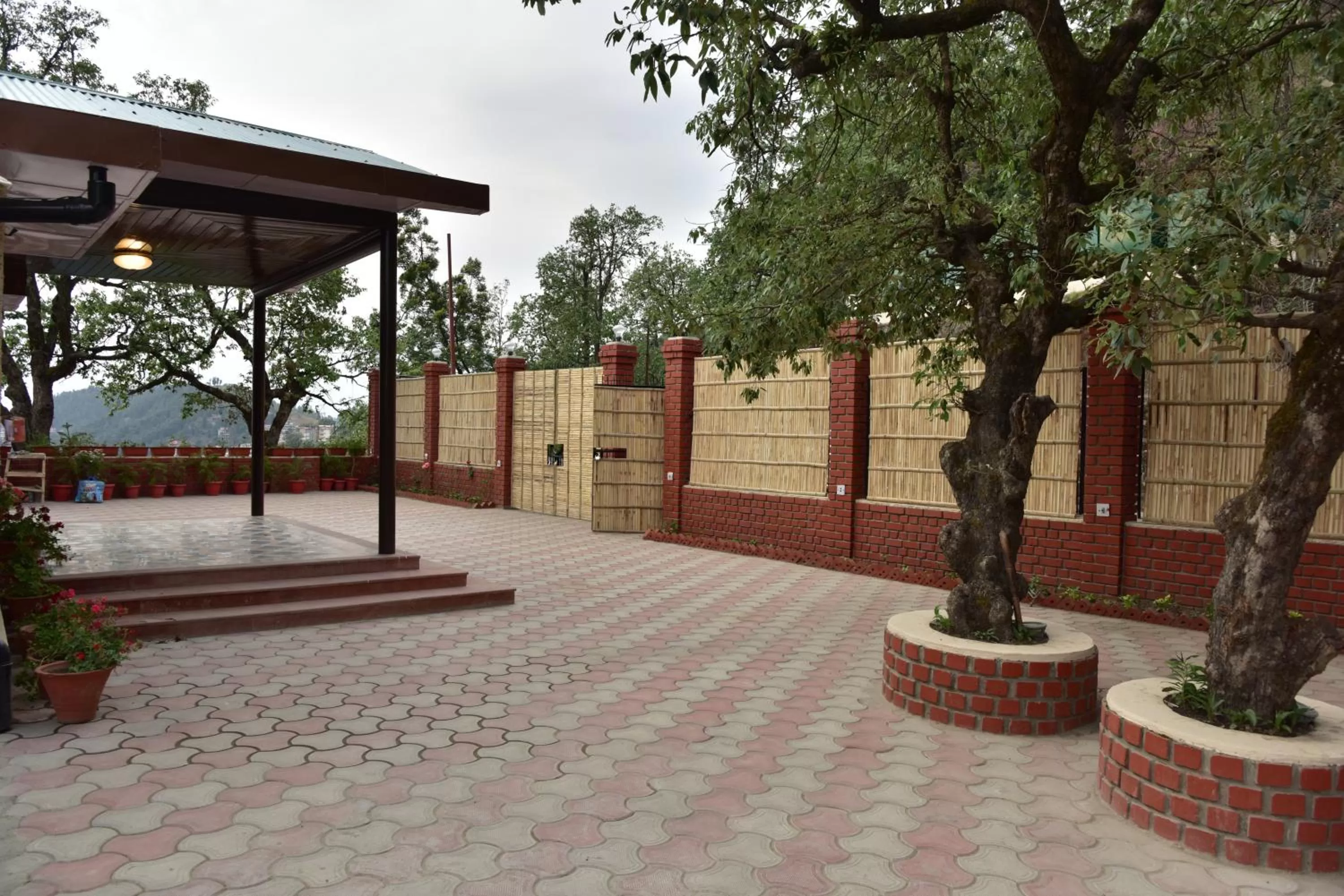 Garden in The Oaktree House