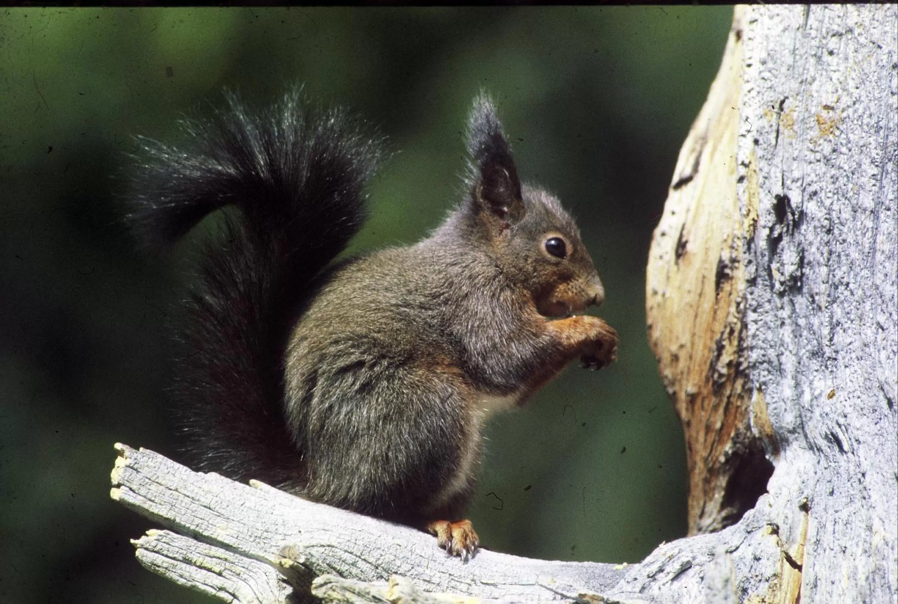 Hiking in Meublè Garnì Della Contea