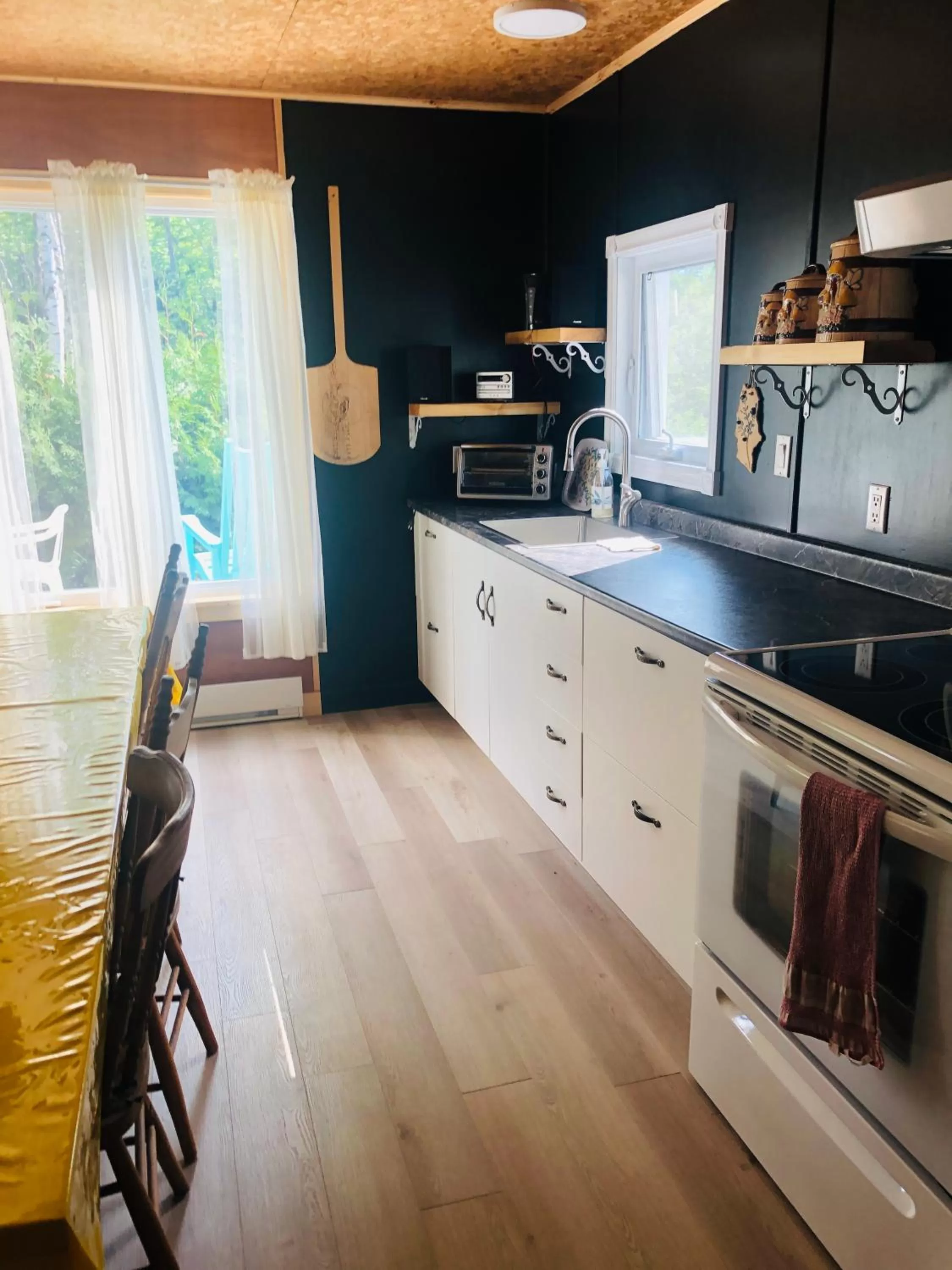 stove, Kitchen/Kitchenette in Gîte de la Montagne Enchantée