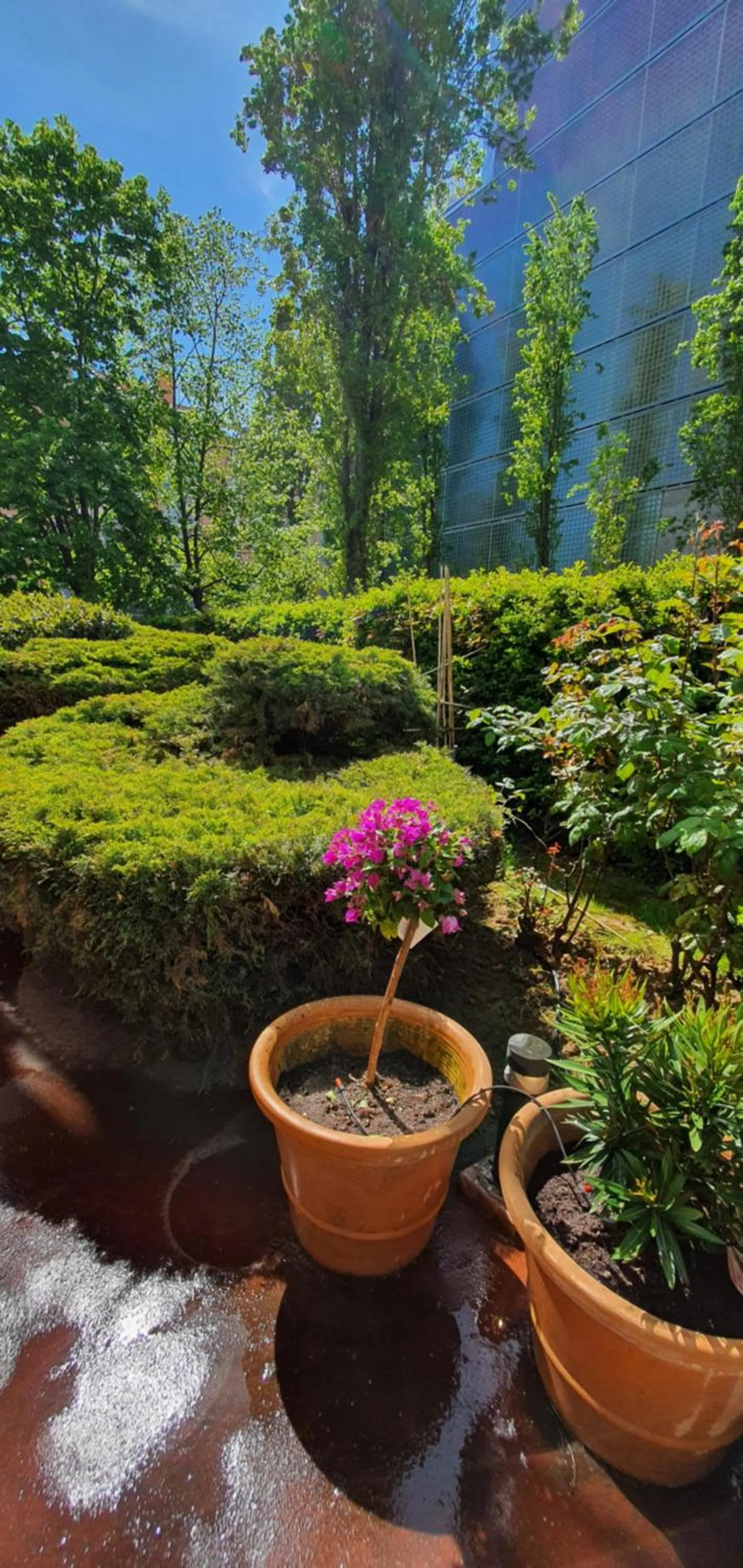 Garden in ibis Styles Paris Tolbiac Bibliotheque