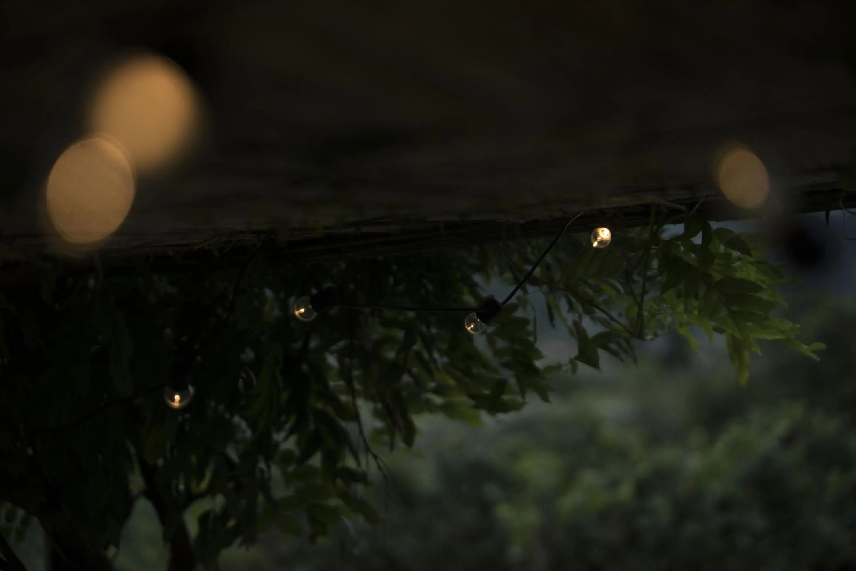 Garden in Residence La Vigna