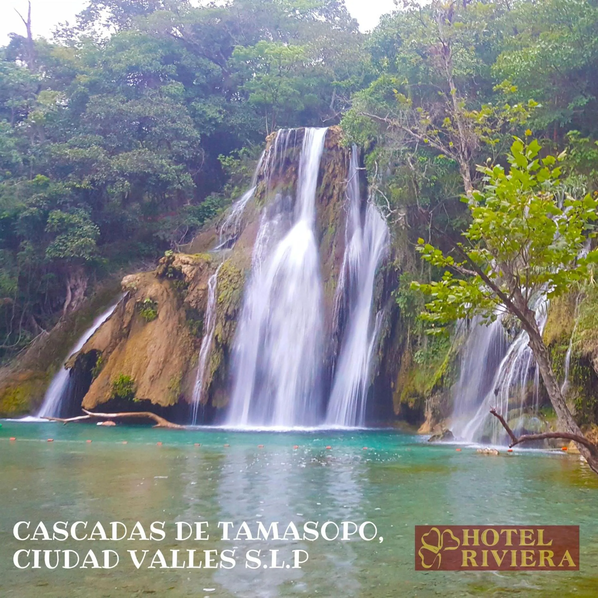 Natural landscape in Hotel Riviera