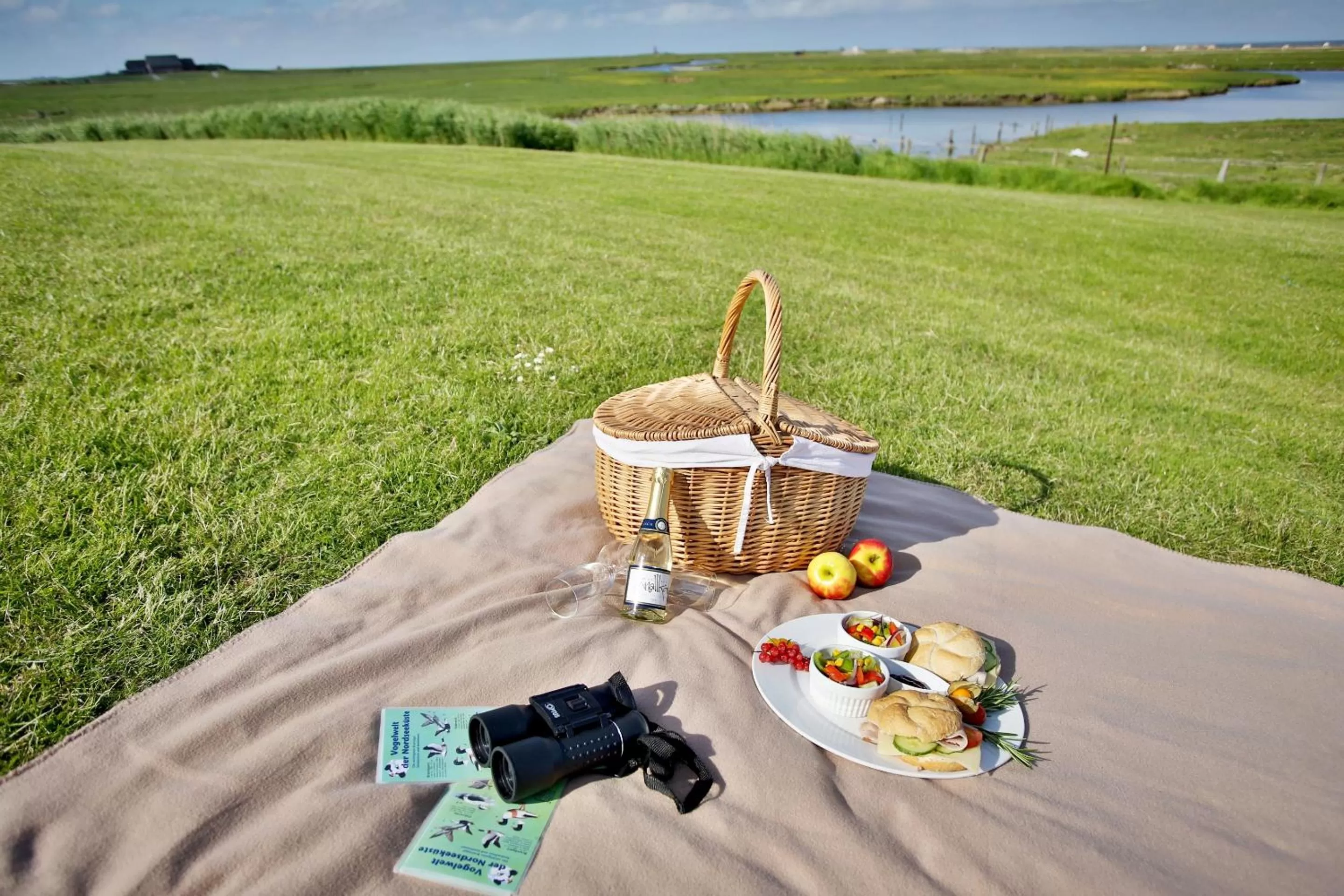 Natural landscape in Anker's Hörn - Hotel & Restaurant auf der Hallig Langeness
