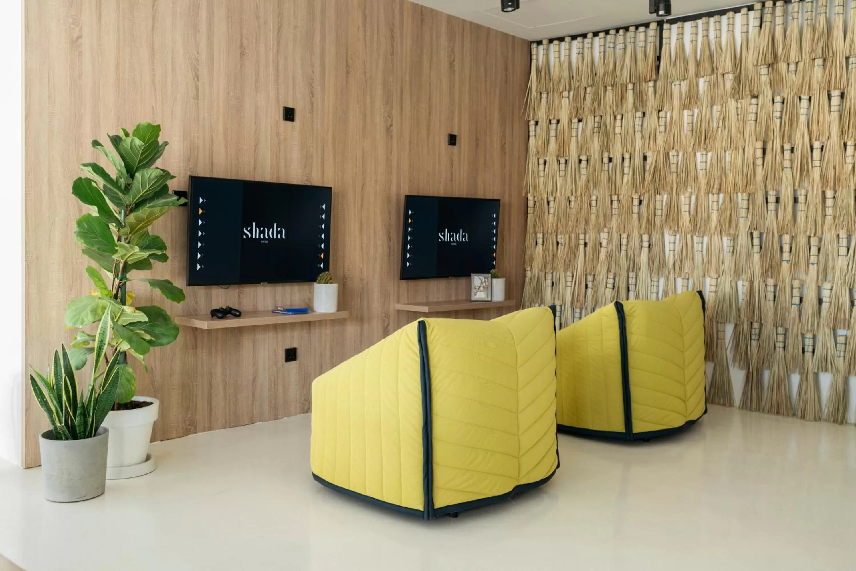 TV and multimedia in Shada Hotel Shatea - فندق شدا الشاطئ