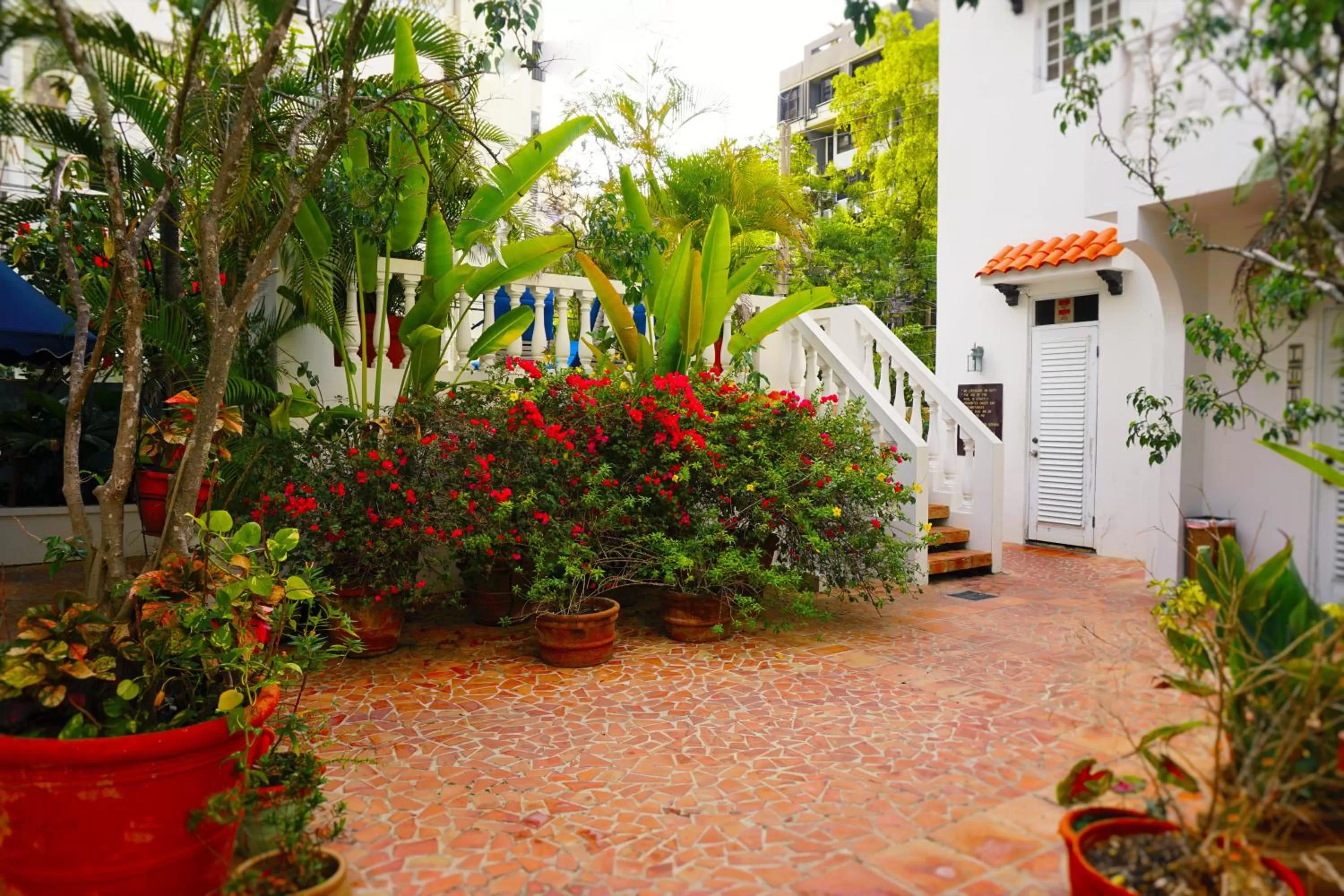 Spring in At Wind Chimes Boutique Hotel