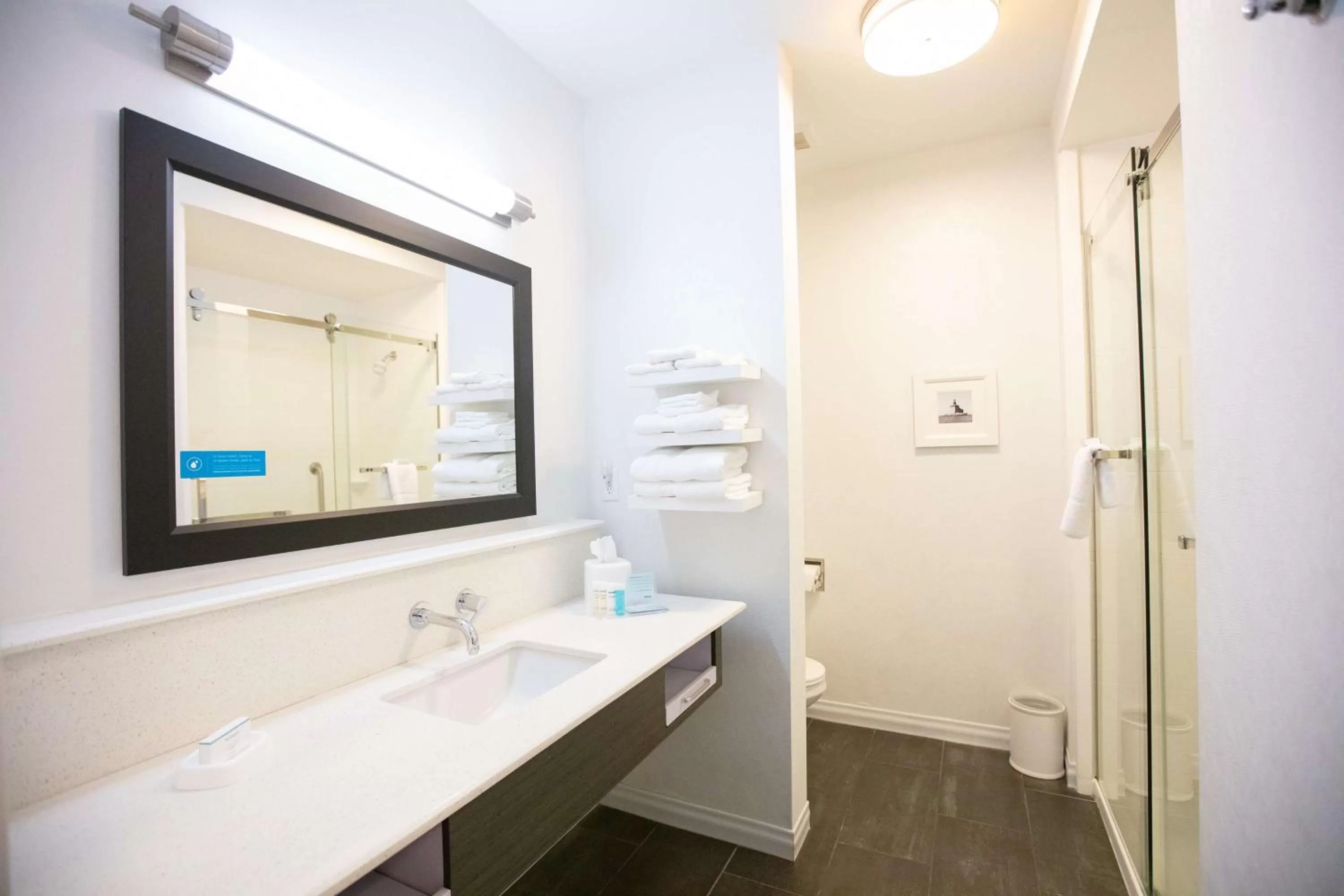 Bathroom in Hampton Inn Toledo Oregon