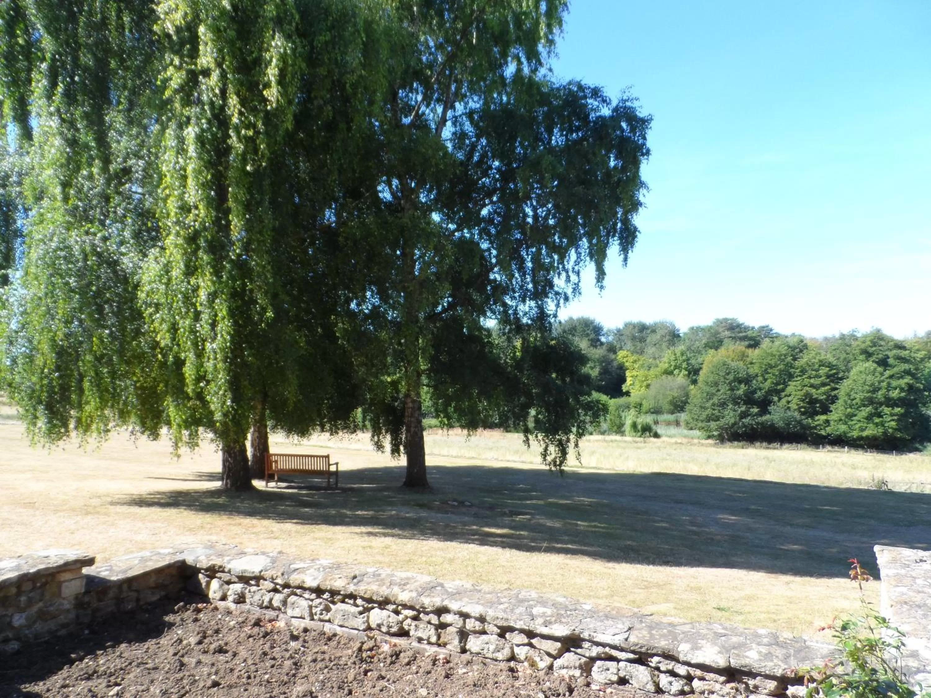 Natural landscape in Stanton House Hotel