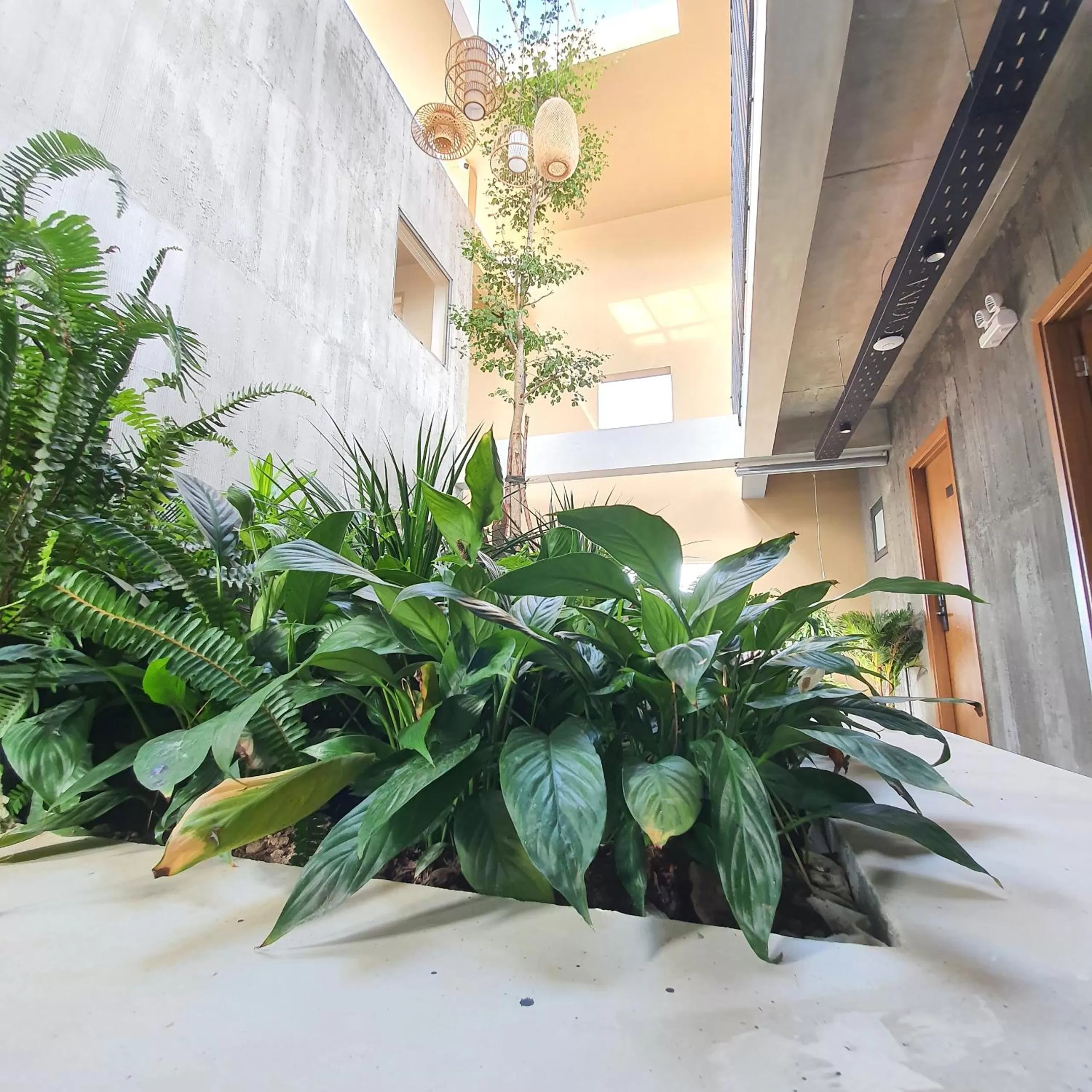 Patio in Cagina Boutique Hostel