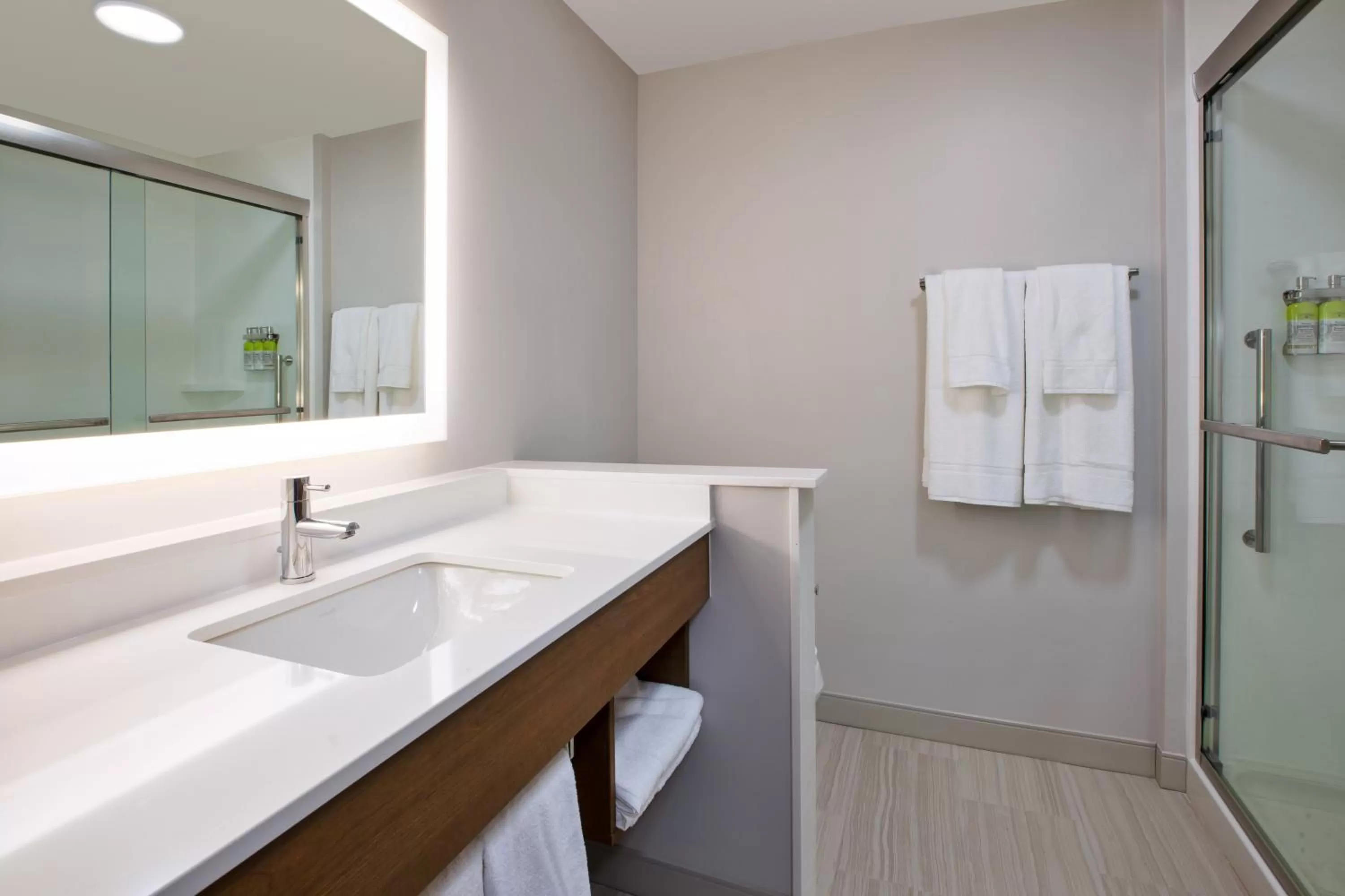 Bathroom in Holiday Inn Express & Suites Wooster by IHG
