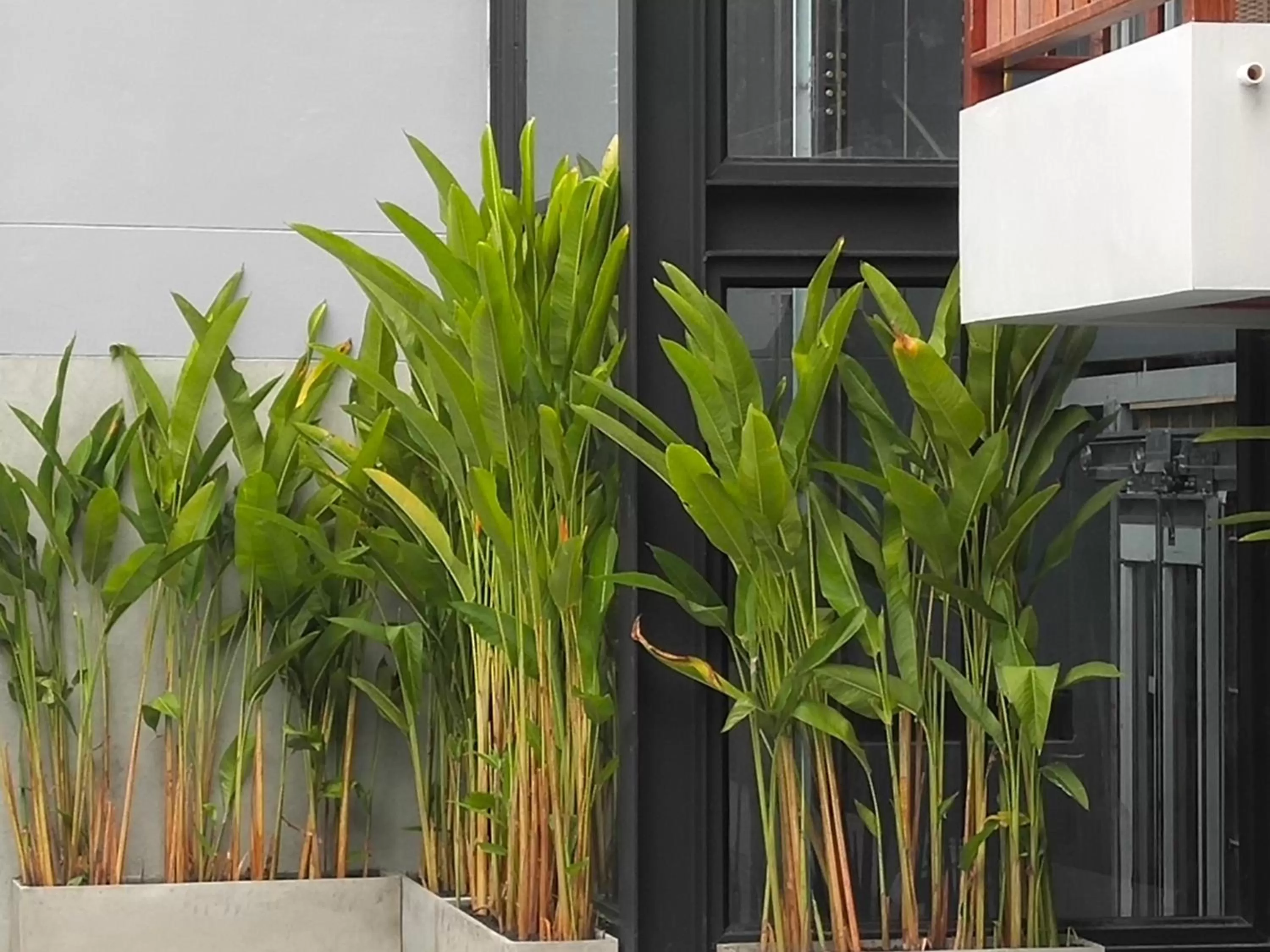 Swimming pool in Hotel De Wualai