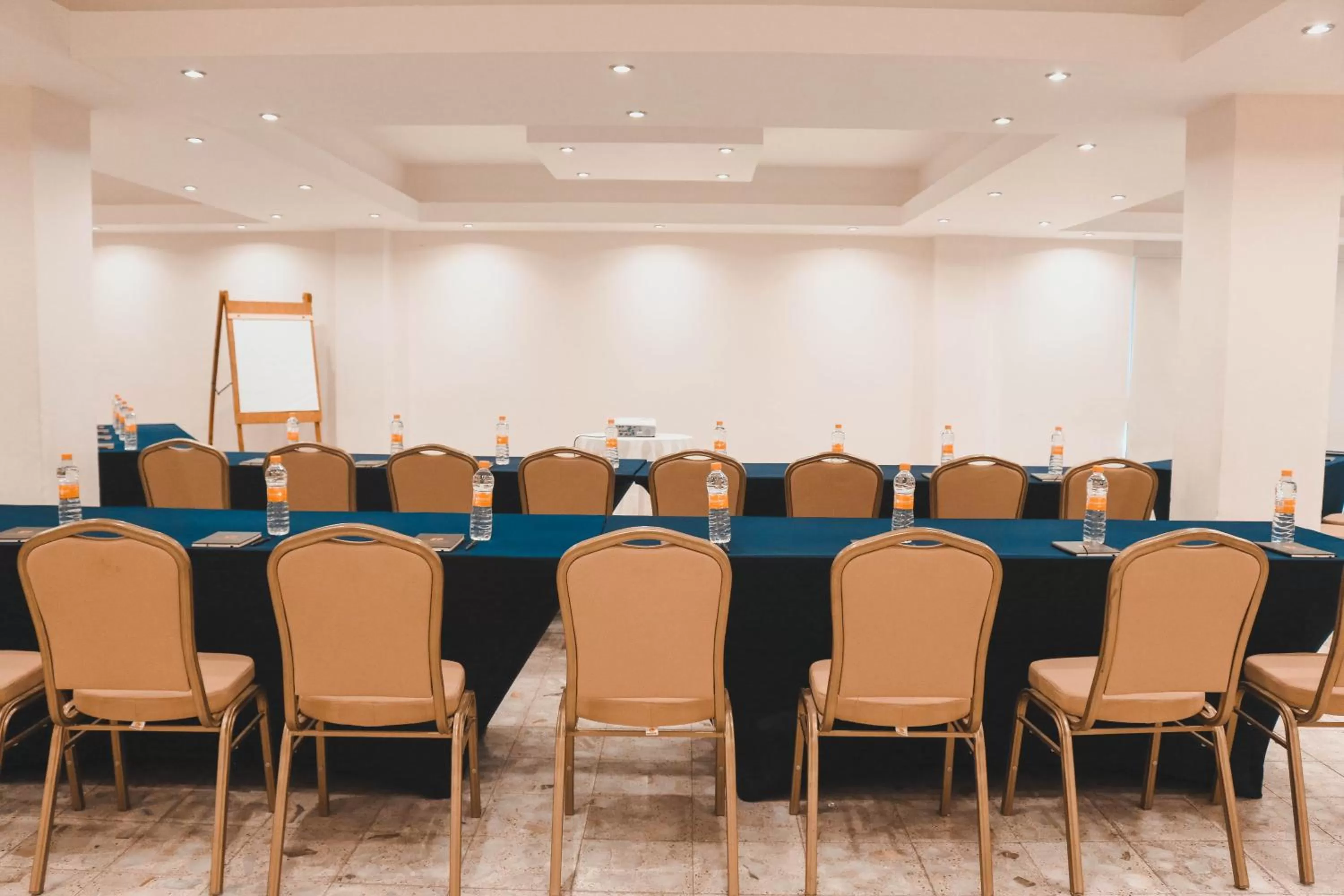 Meeting/conference room in Hotel Agua Escondida