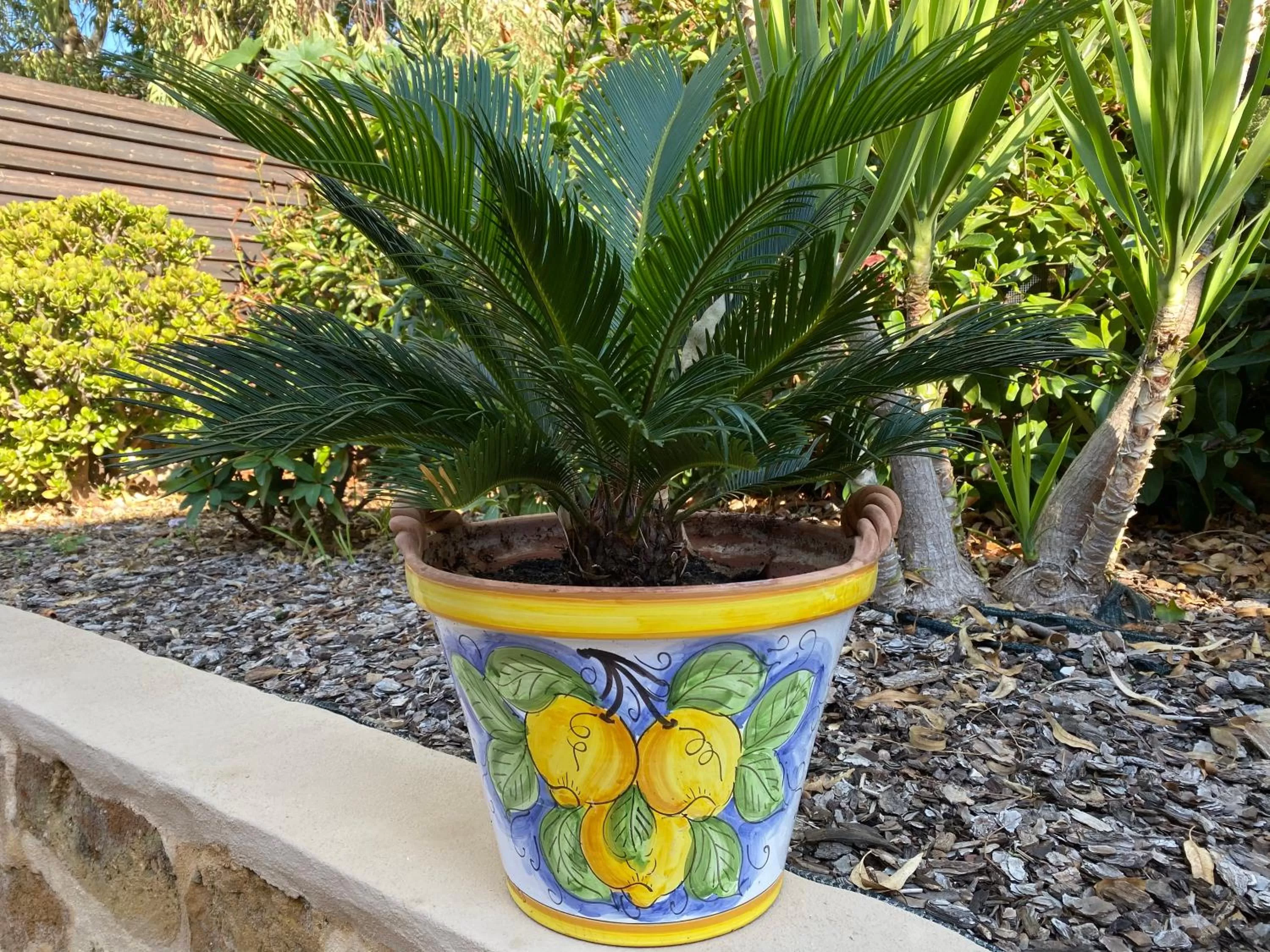 Garden in B&B Donna Teresa