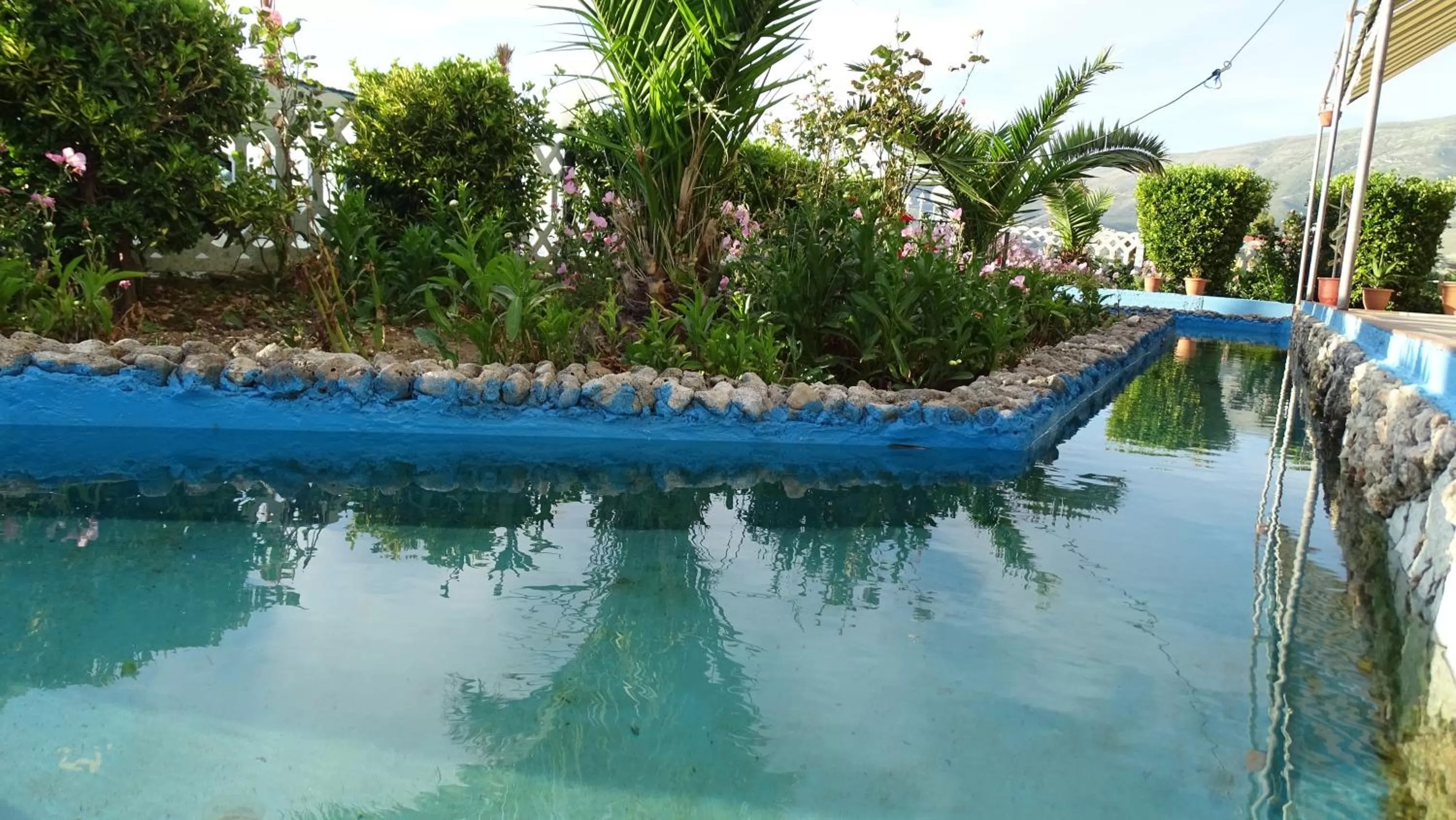 Day in Hotel Alba-Gert