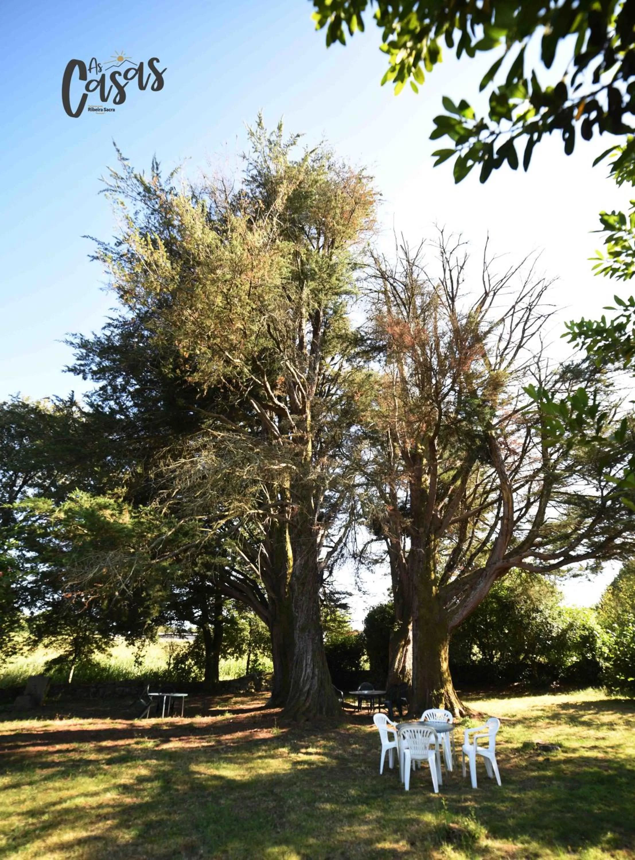 Off site, Garden in As Casas Ribeira Sacra