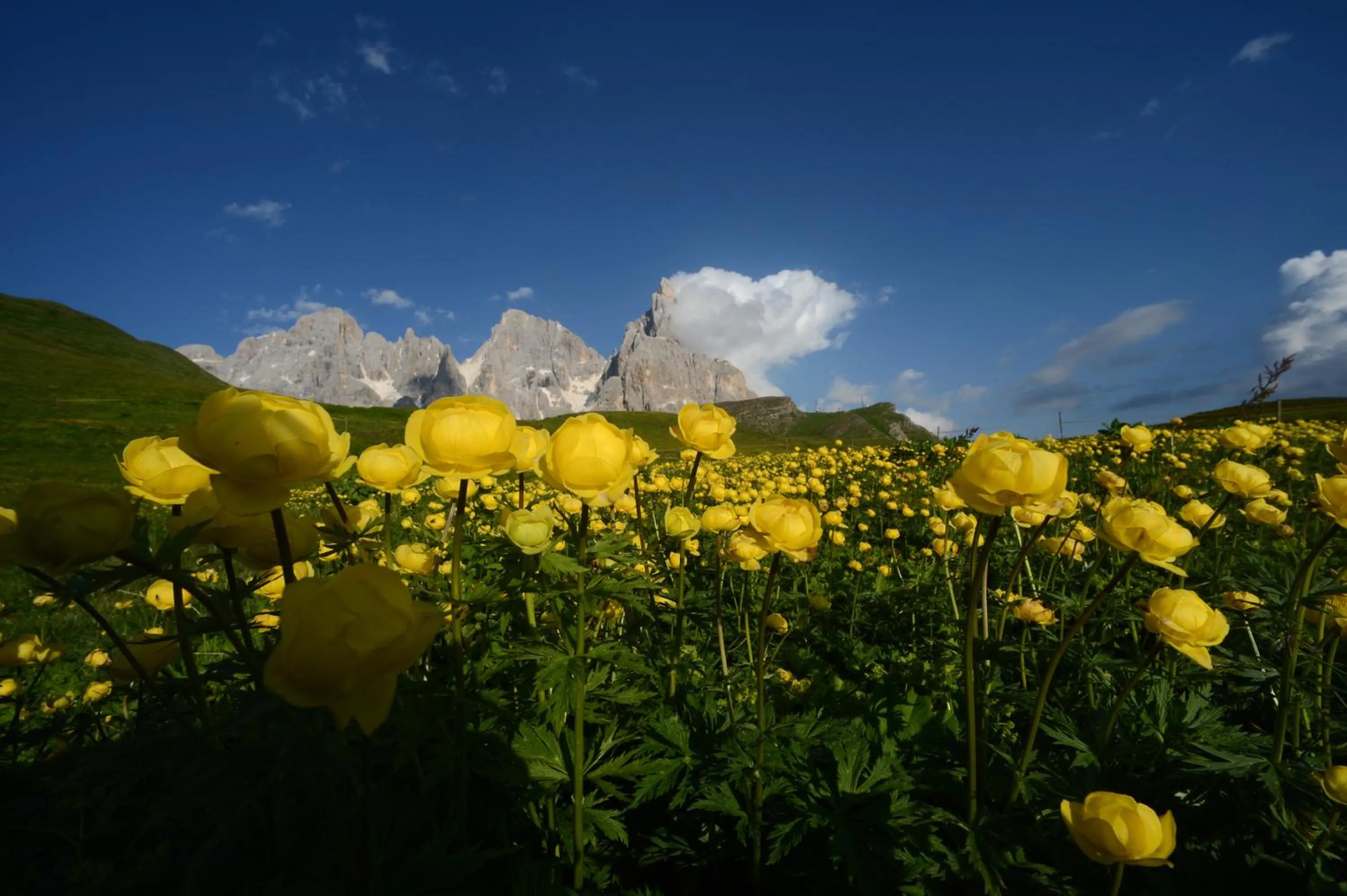 Natural landscape in Hotel Lagorai Resort & Spa