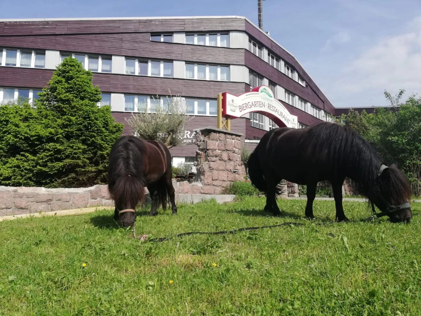 Animals in Hotel Lugsteinhof