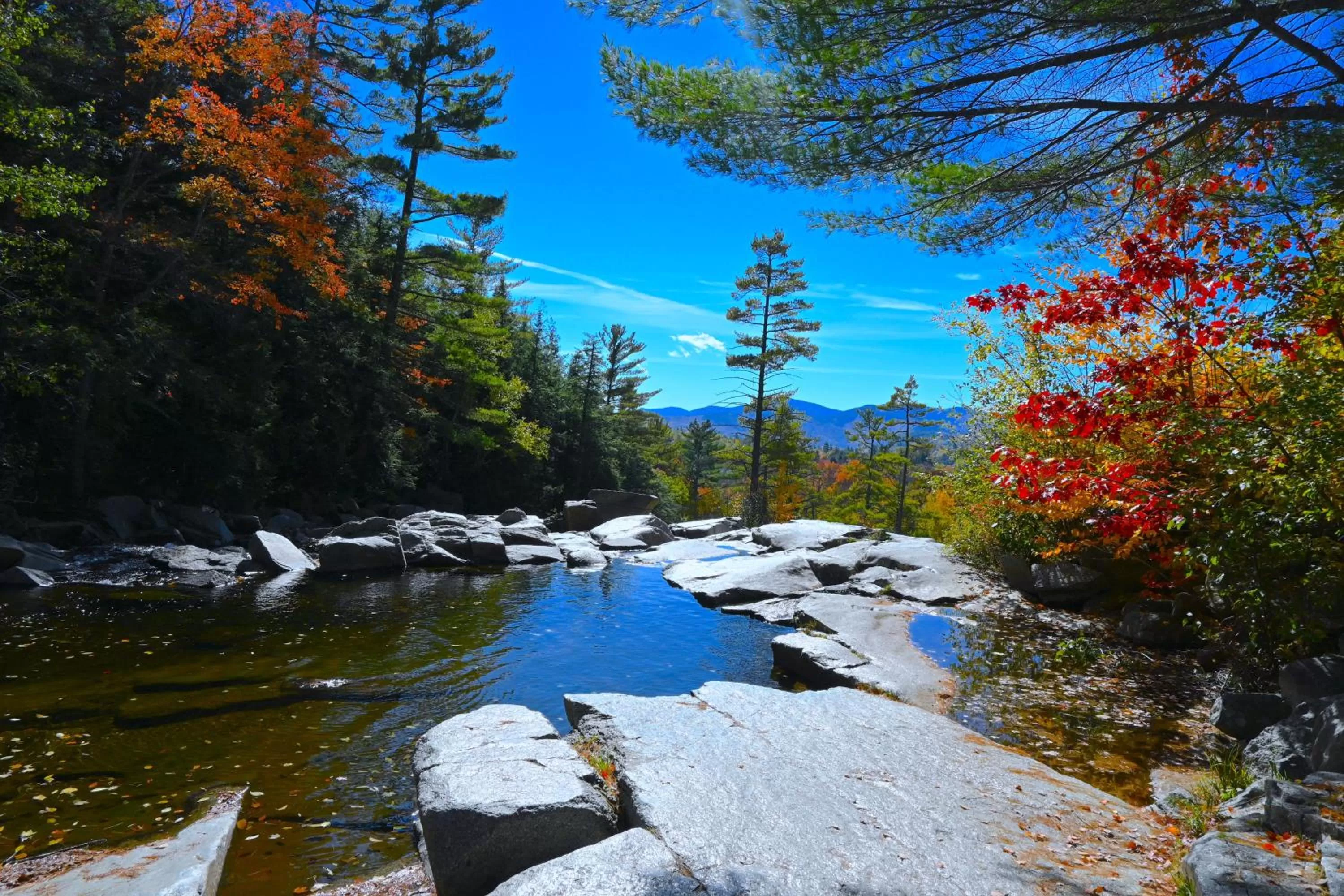 Natural landscape in The Lodge at Jackson Village