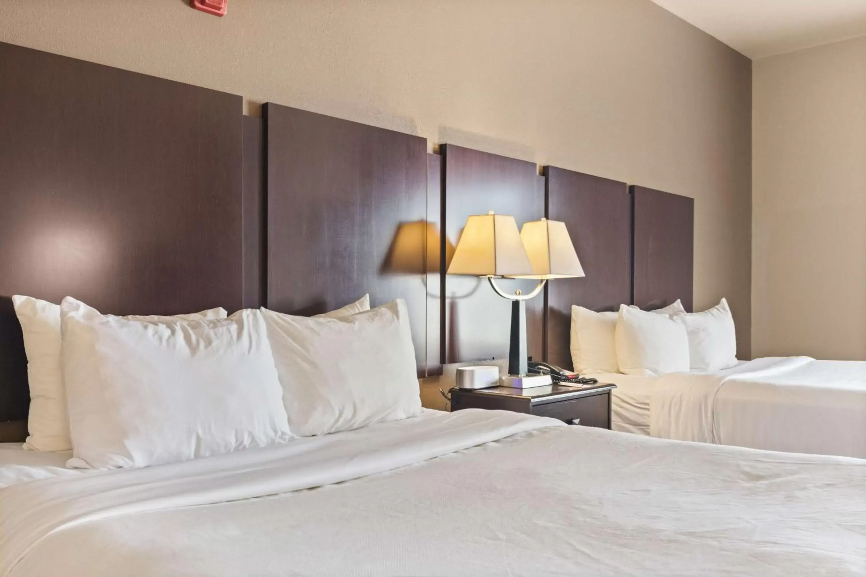 Queen Room with Two Queen Beds and Sofa Bed in Portland Inn & Suites Queen Room with Two Queen Beds and Sofa Bed in Portland Inn & Suites