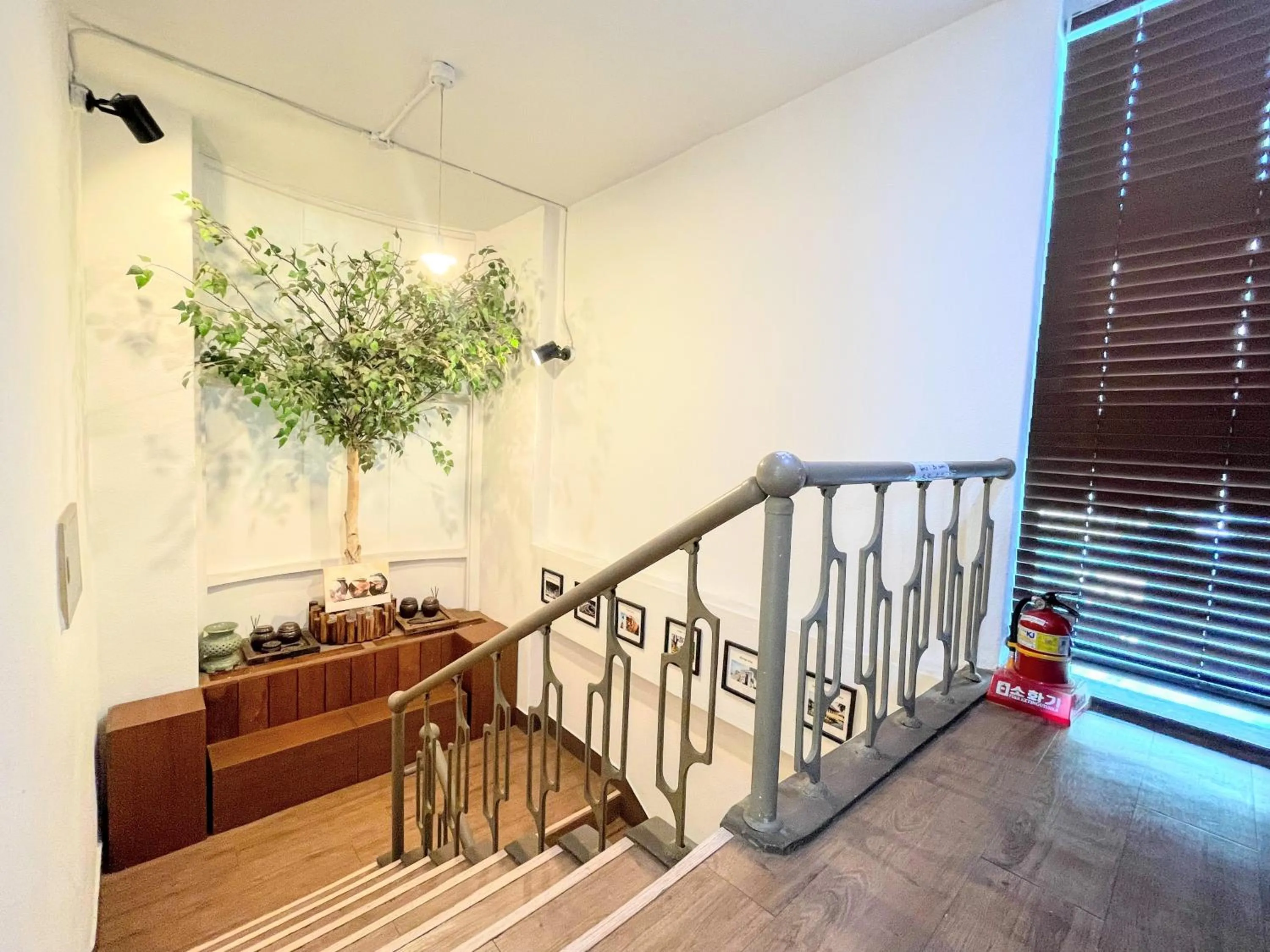 Area and facilities in Cocoa Guesthouse