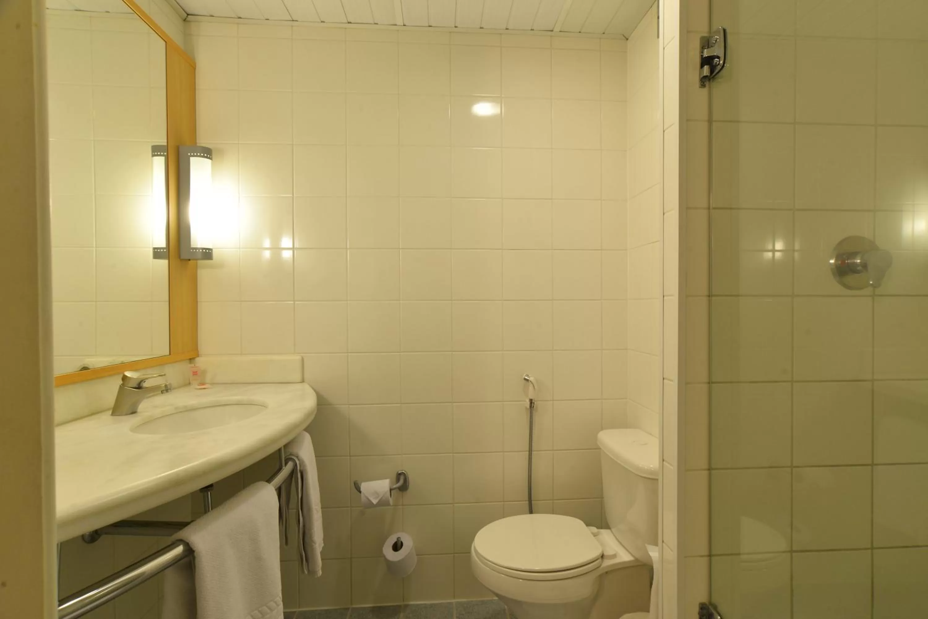 Bathroom in ibis Caxias do Sul