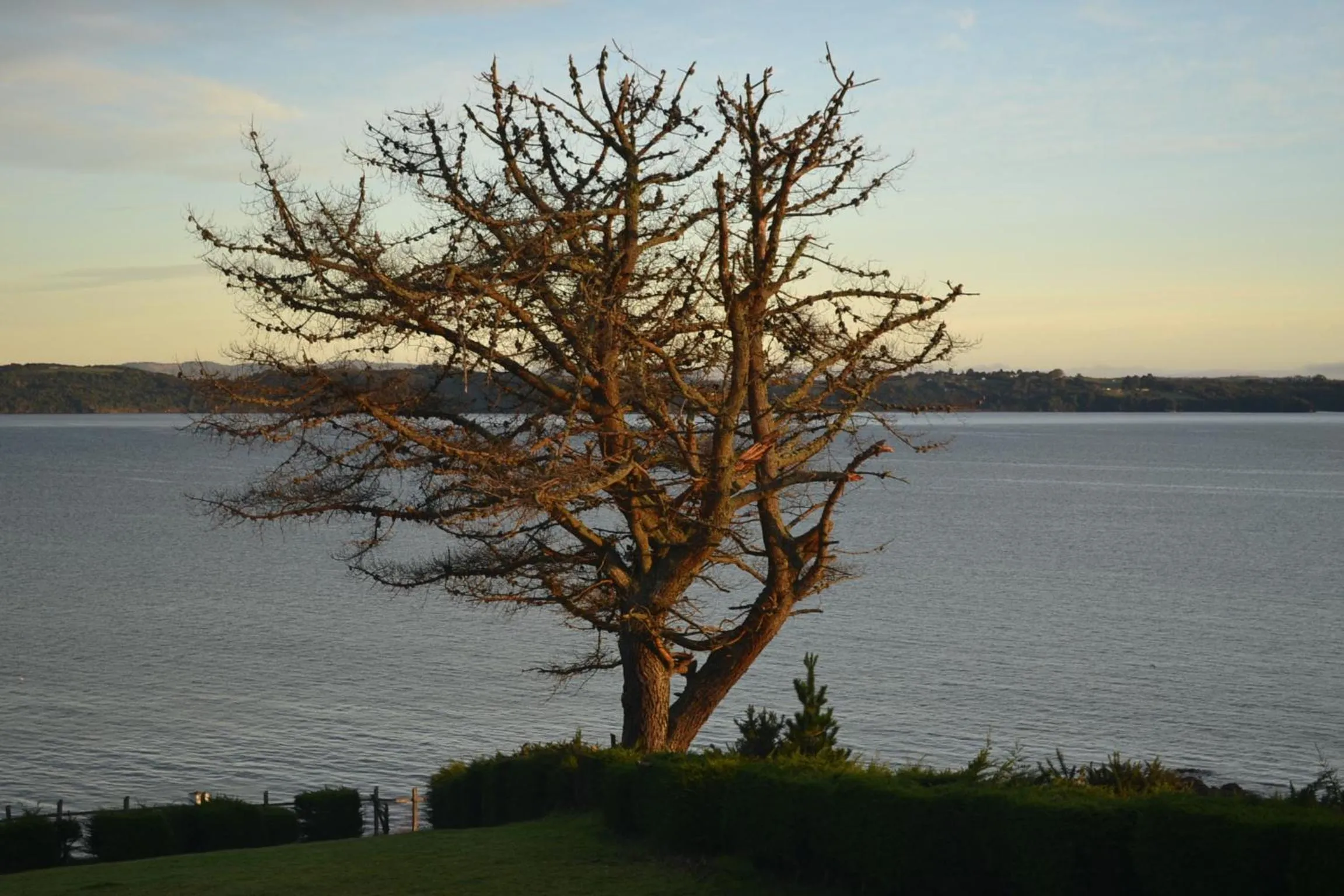 Natural landscape in Panamericana Hotel Ancud