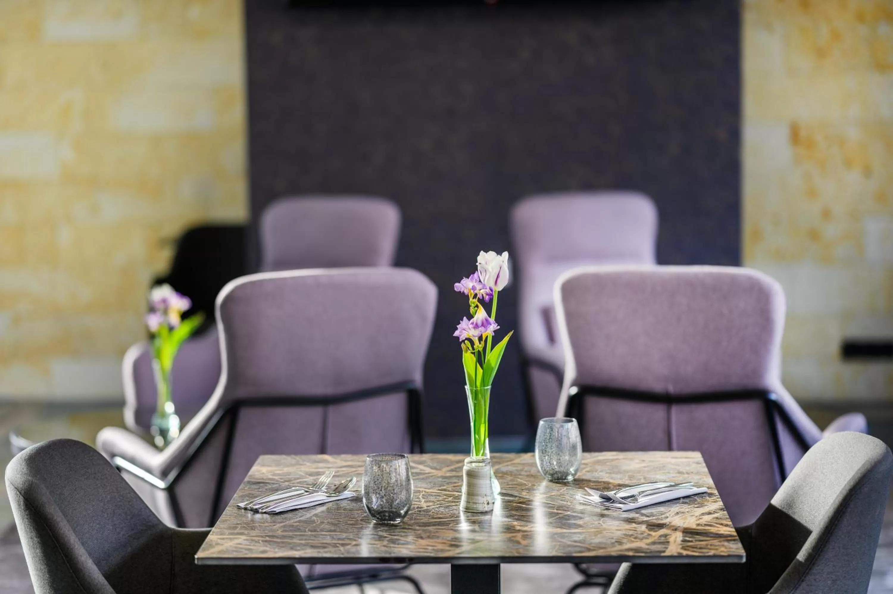 Restaurant/places to eat in Mercure Tokaj Center