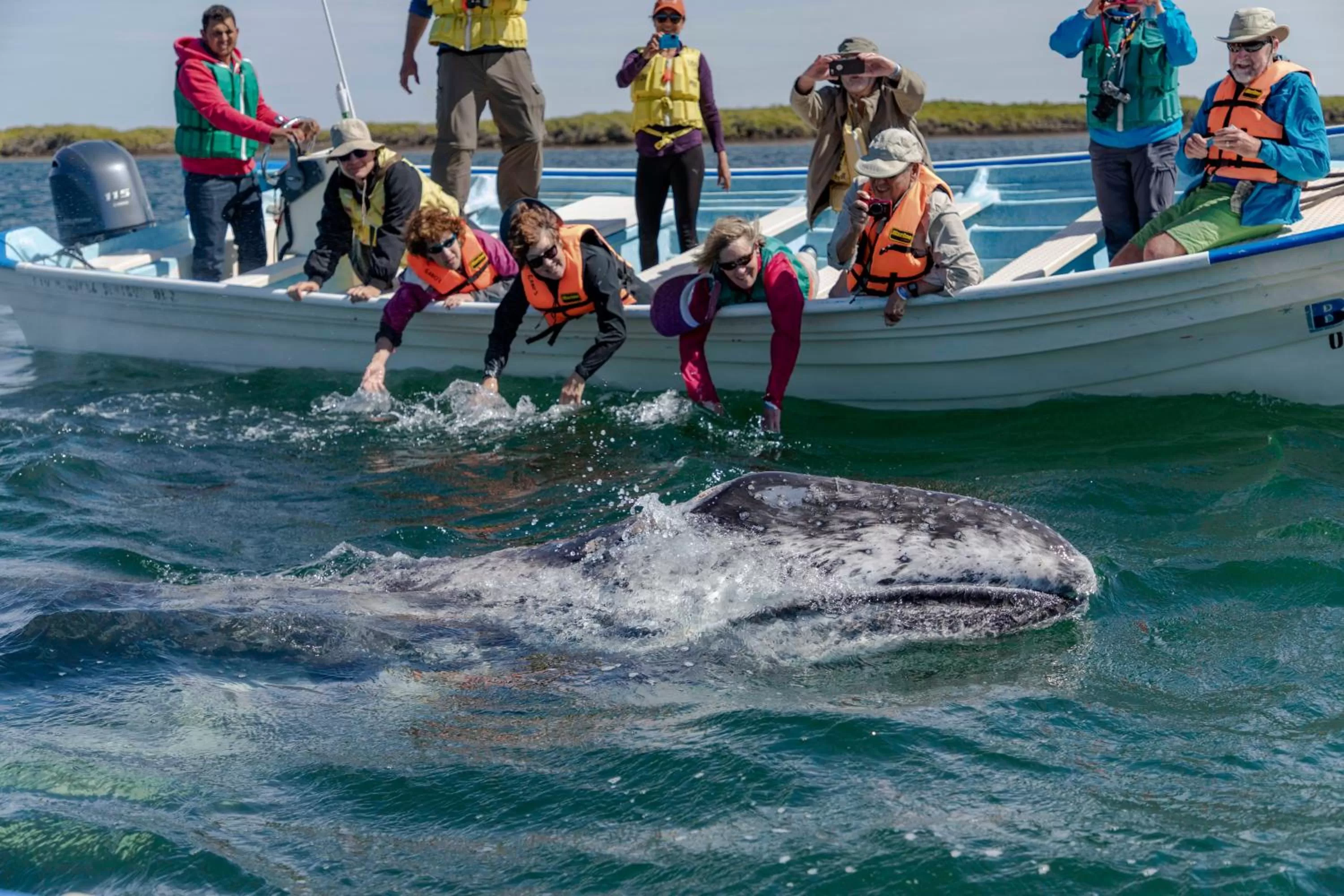Activities in Hotel Posada Luna Sol