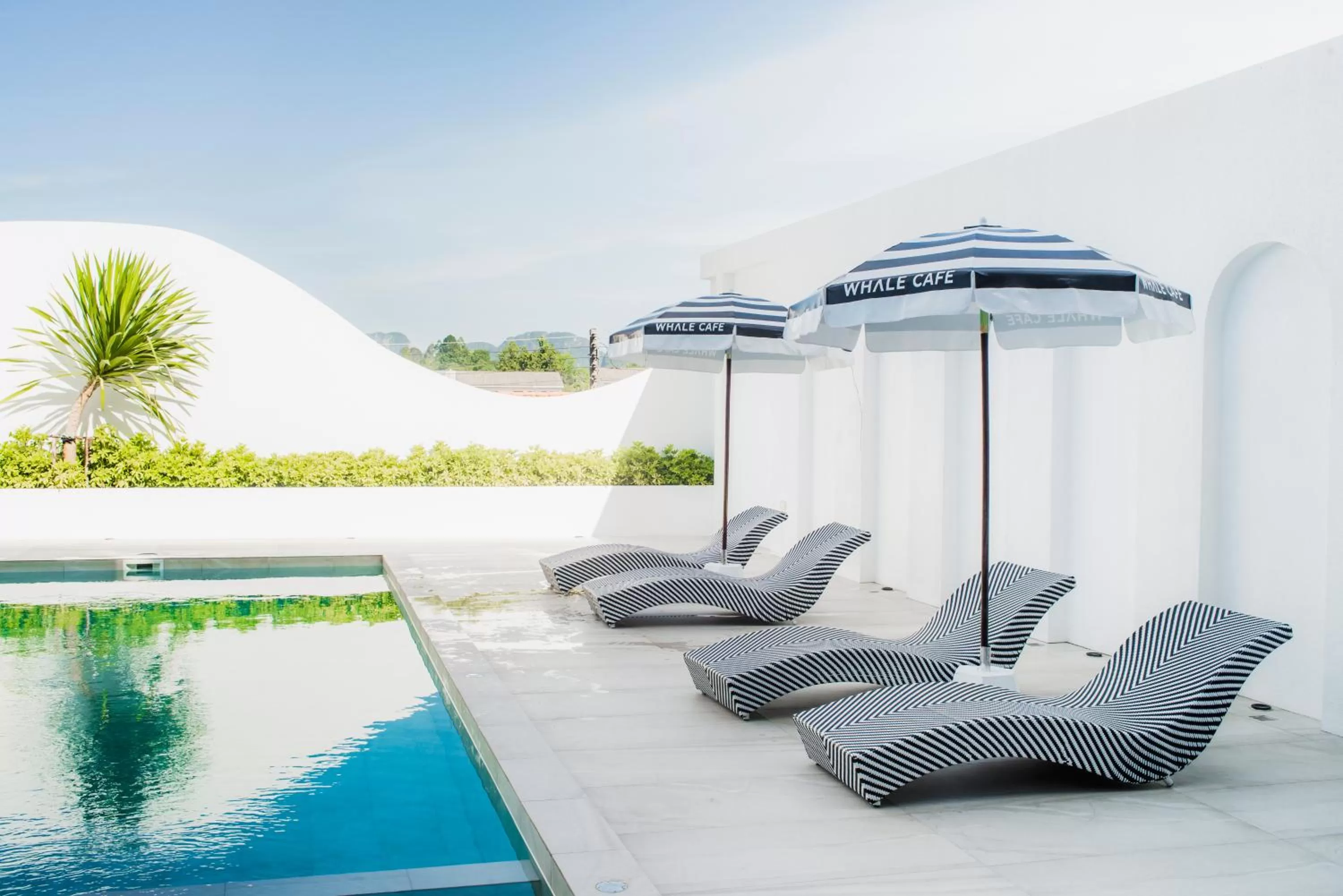 Balcony/Terrace in Sleep Whale Hotel