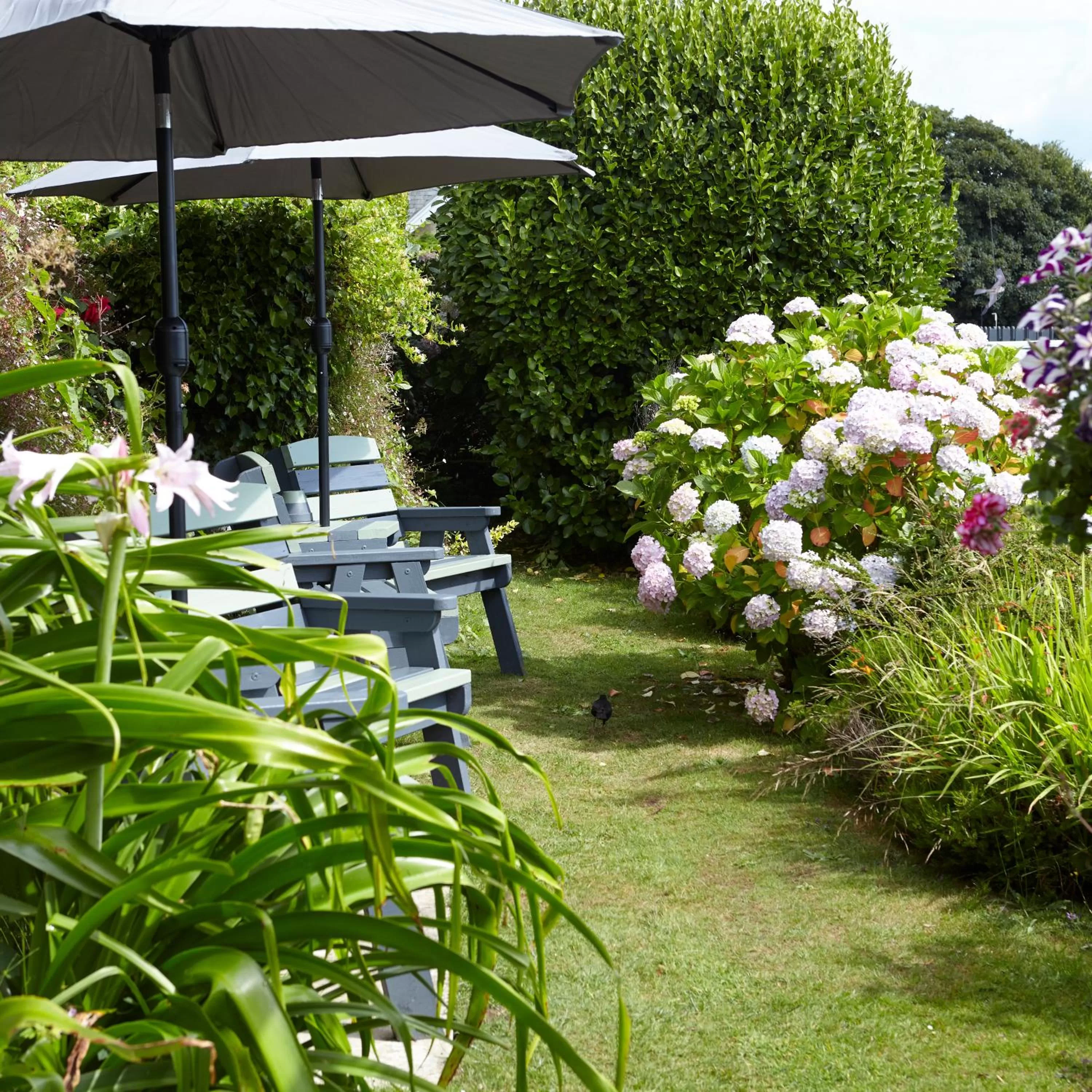 Garden in Luccombe Hall Hotel