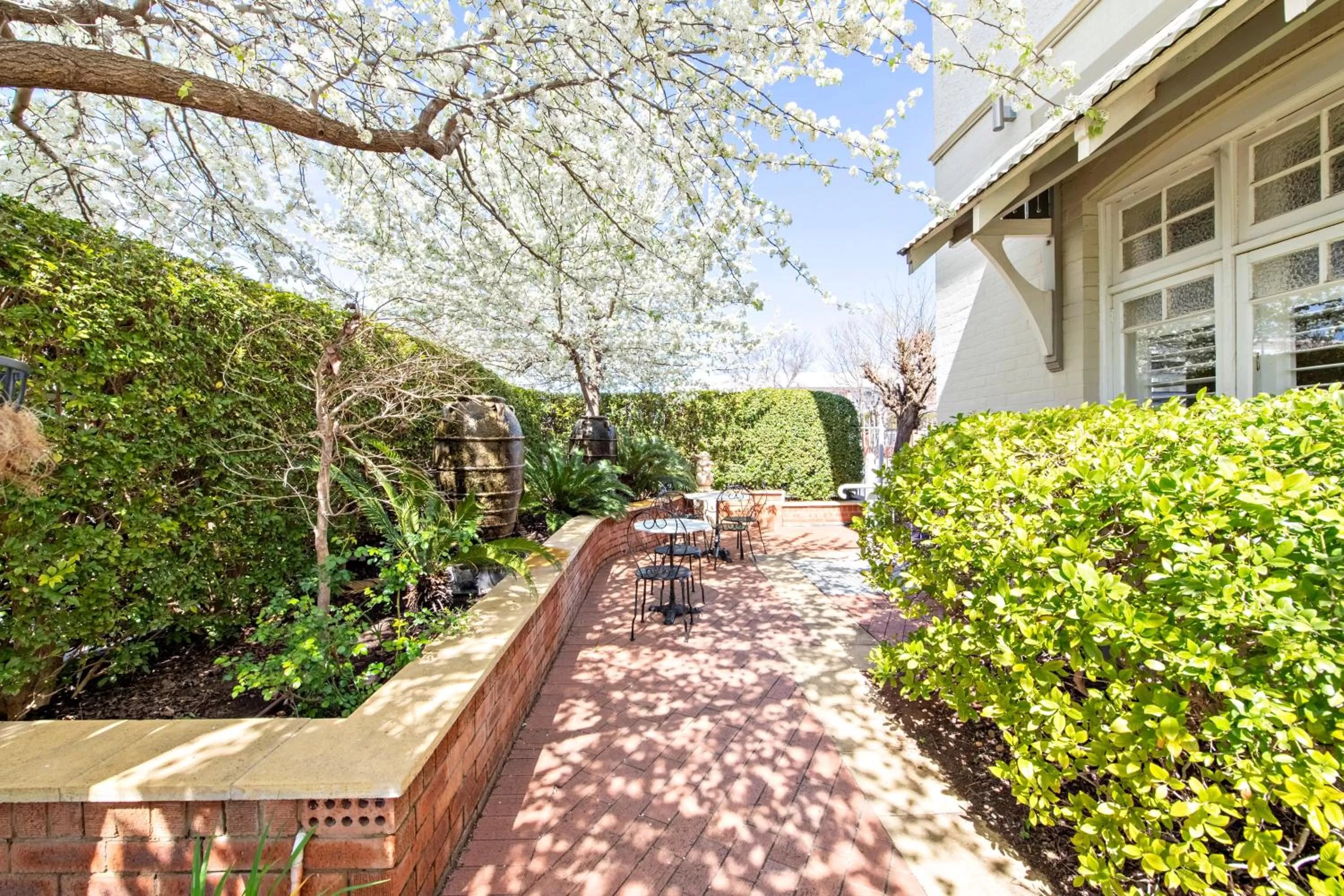 Garden in The Westbury Dubbo
