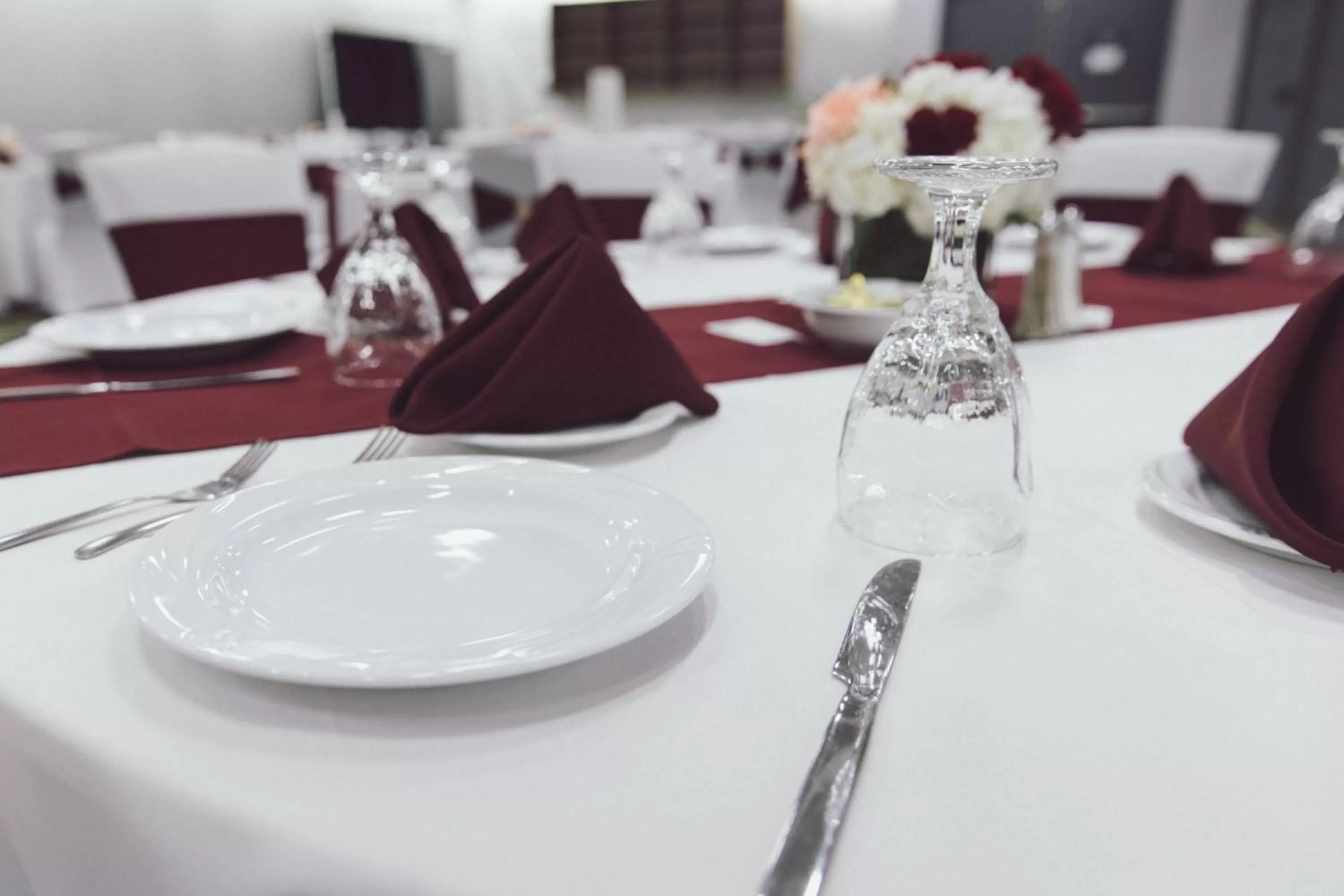 Meeting/conference room in Holiday Inn Fredericksburg - Conference Center by IHG