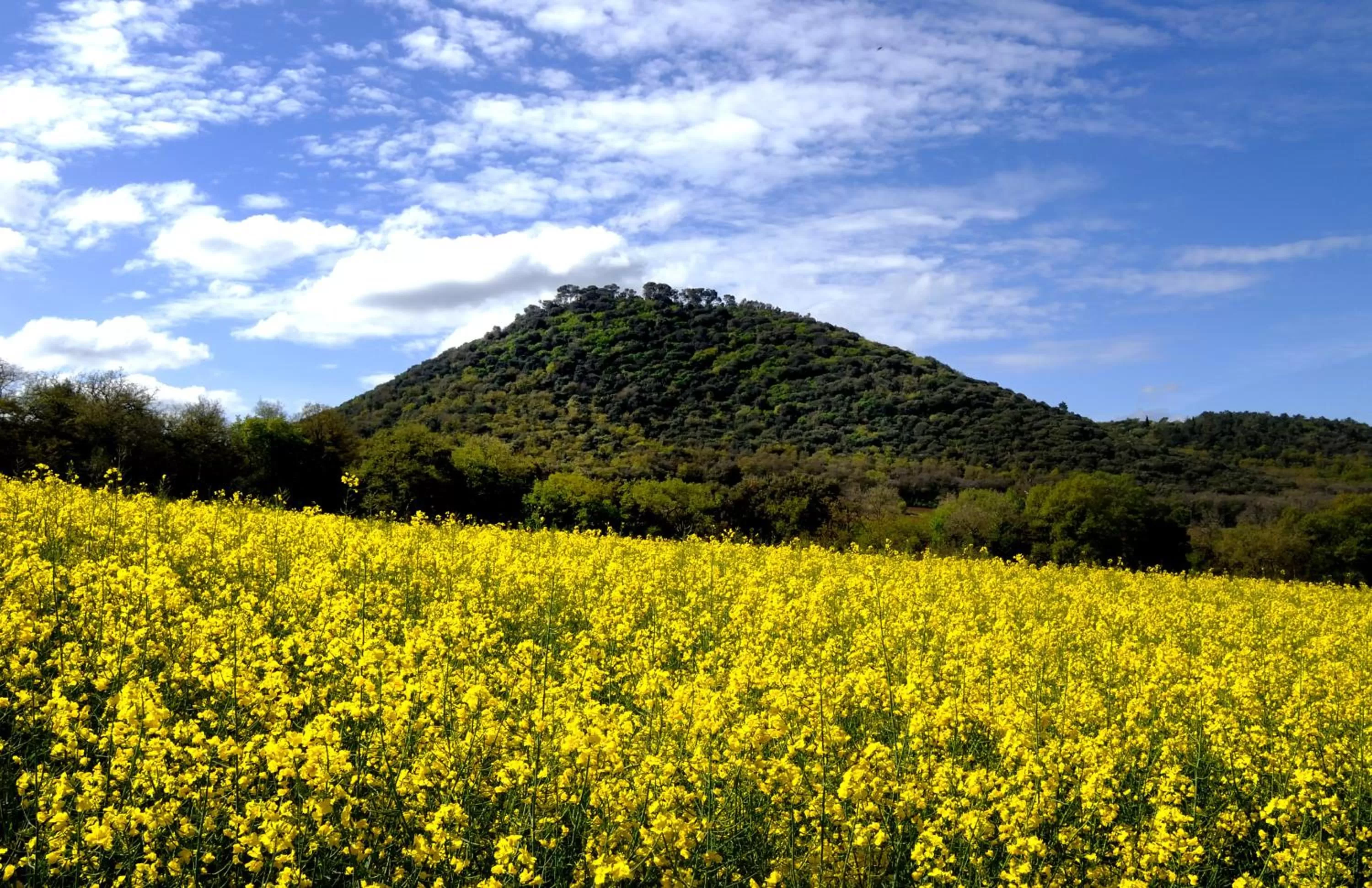 Area and facilities, Natural Landscape in Tenuta Badia '99