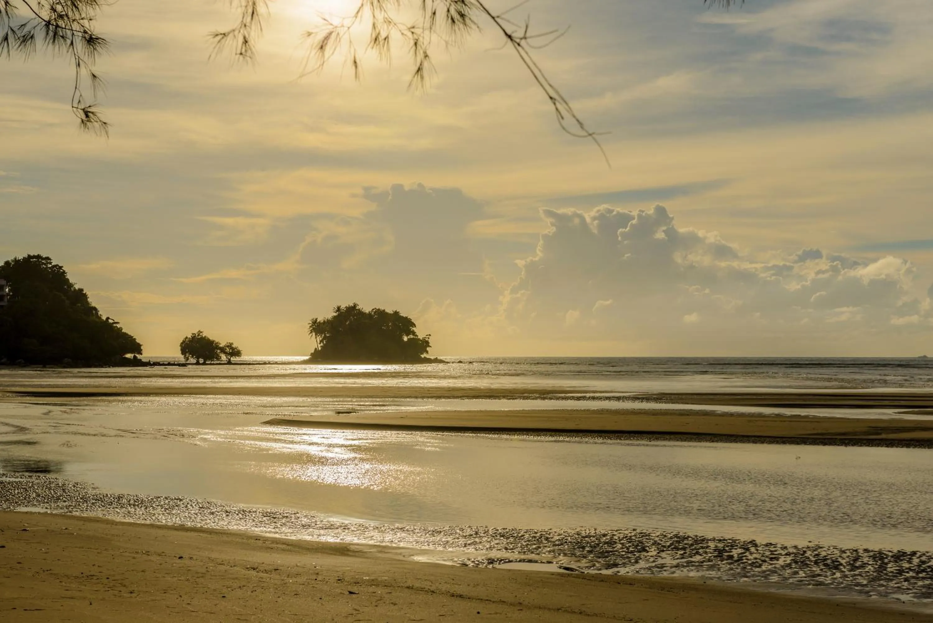 Natural landscape in L'esprit De Naiyang Beach Resort - SHA Extra Plus