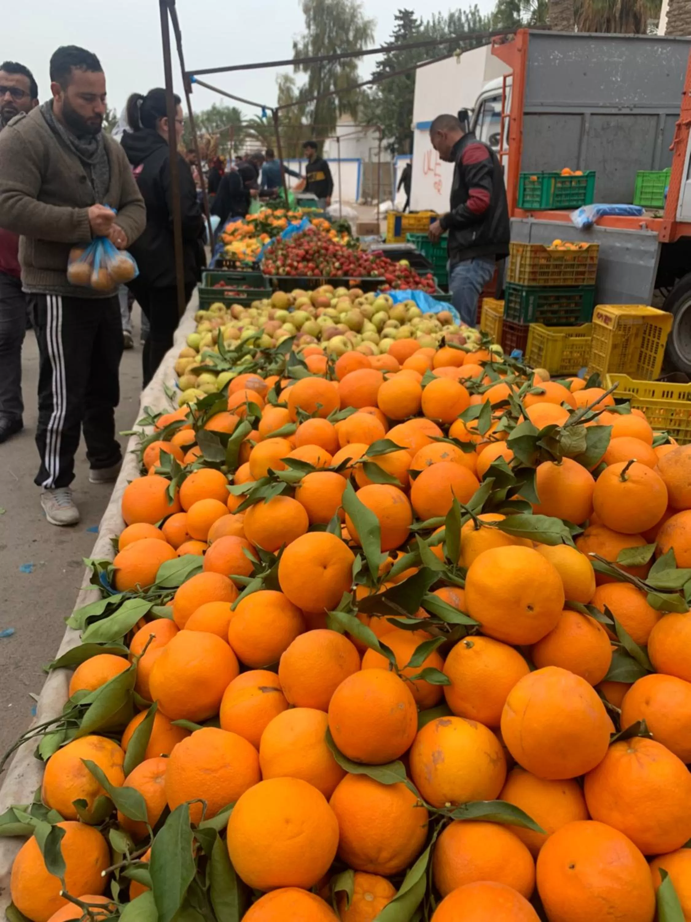 Off site in Dar Lola