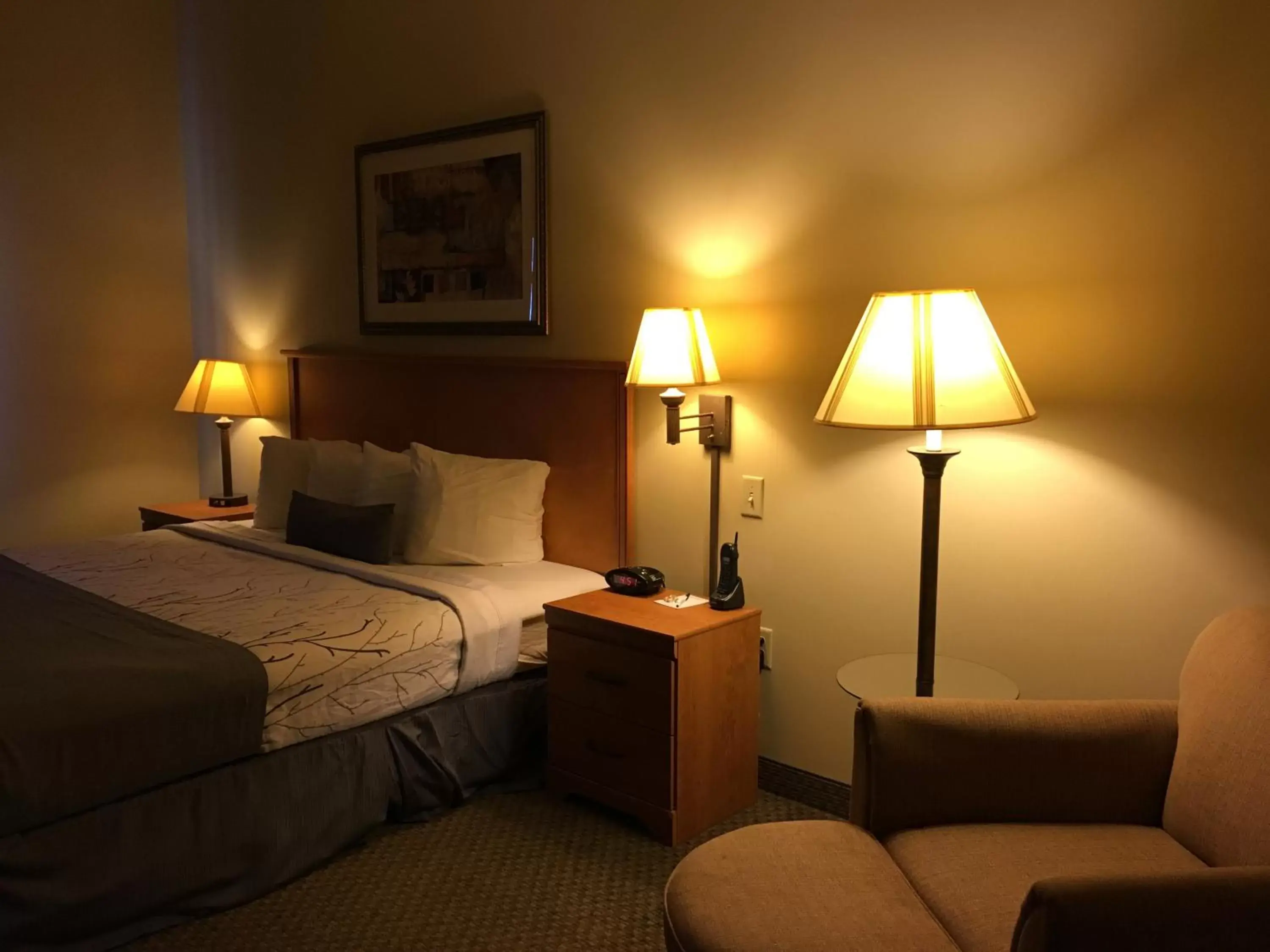 Deluxe King Room - Mobility and Hearing Impaired Access/Non-Smoking in Wingate by Wyndham Coon Rapids Deluxe King Room - Mobility and Hearing Impaired Access/Non-Smoking in Wingate by Wyndham Coon Rapids