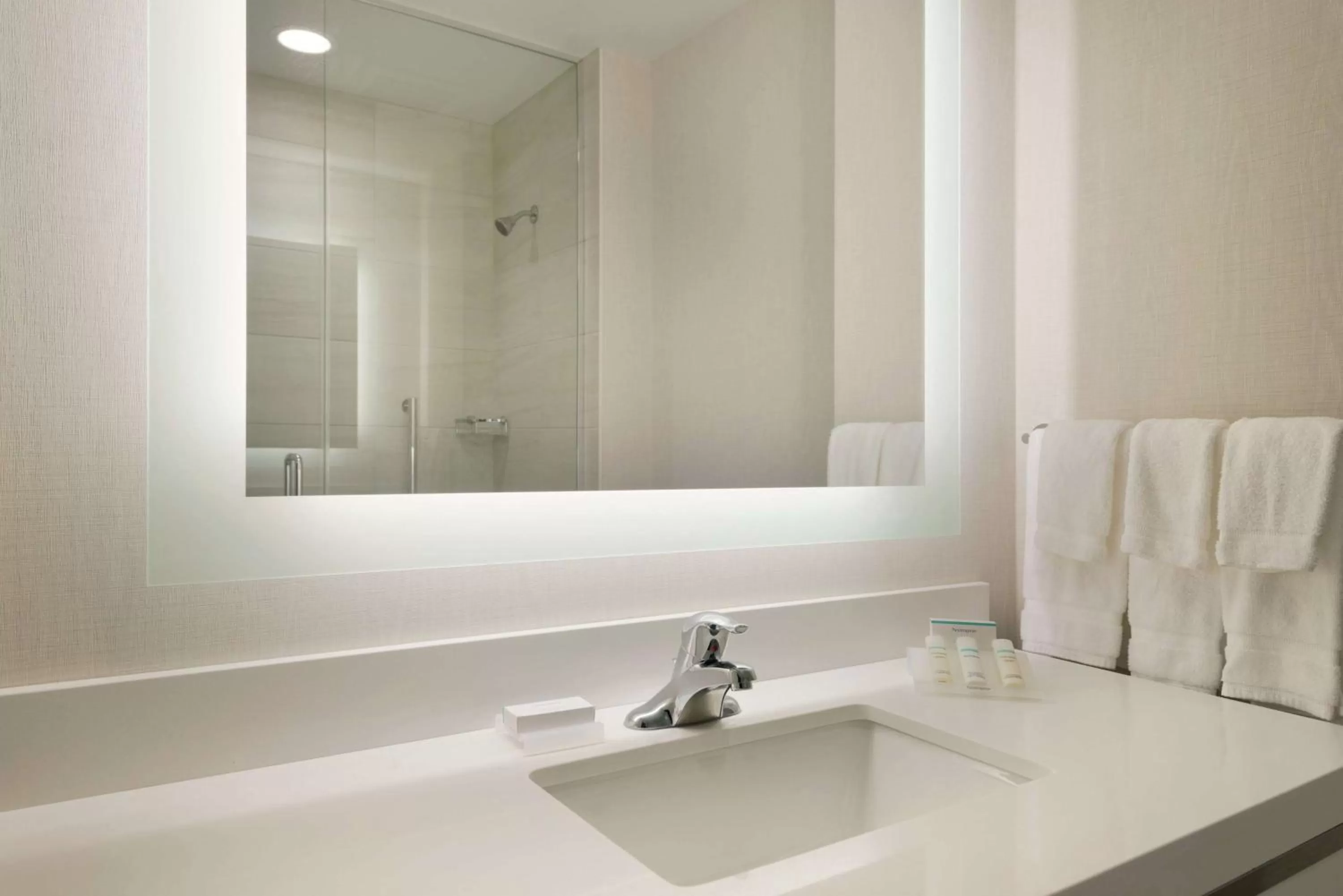 Bathroom in Hilton Garden Inn Rochester - University & Medical Center